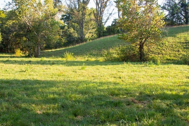 Land Real Estate for sale in College Grove, TN
