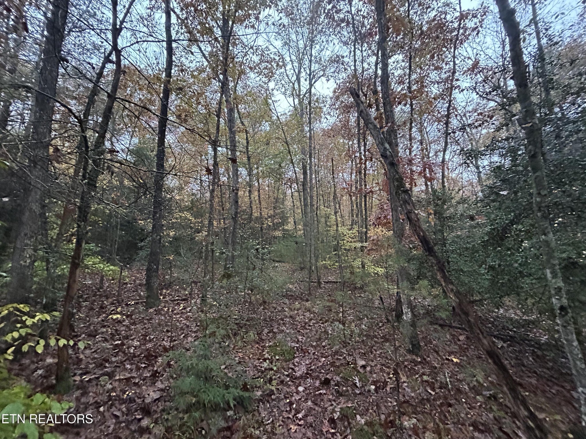 Photo of Listing #3042138