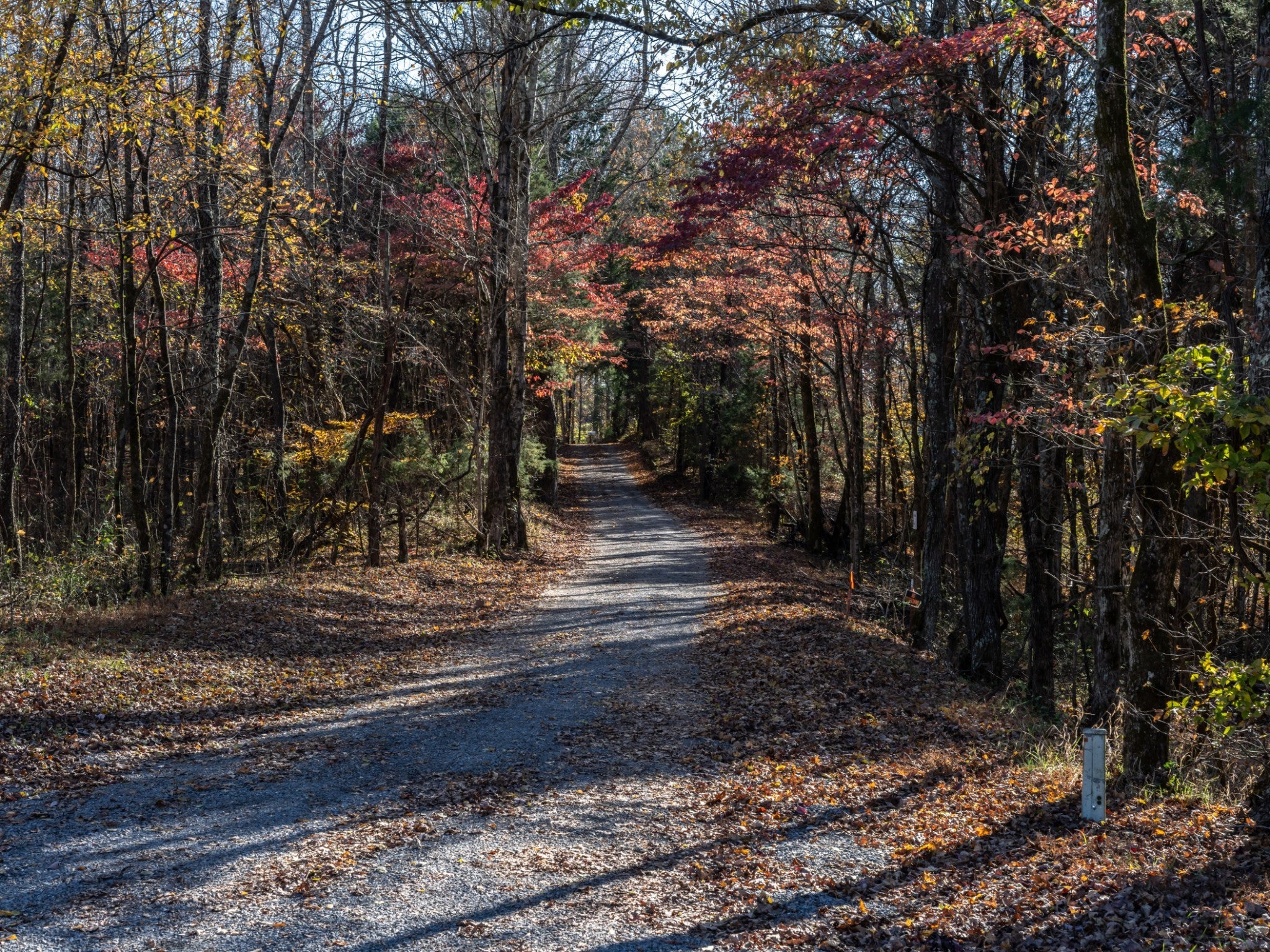 Photo of Listing #3042235