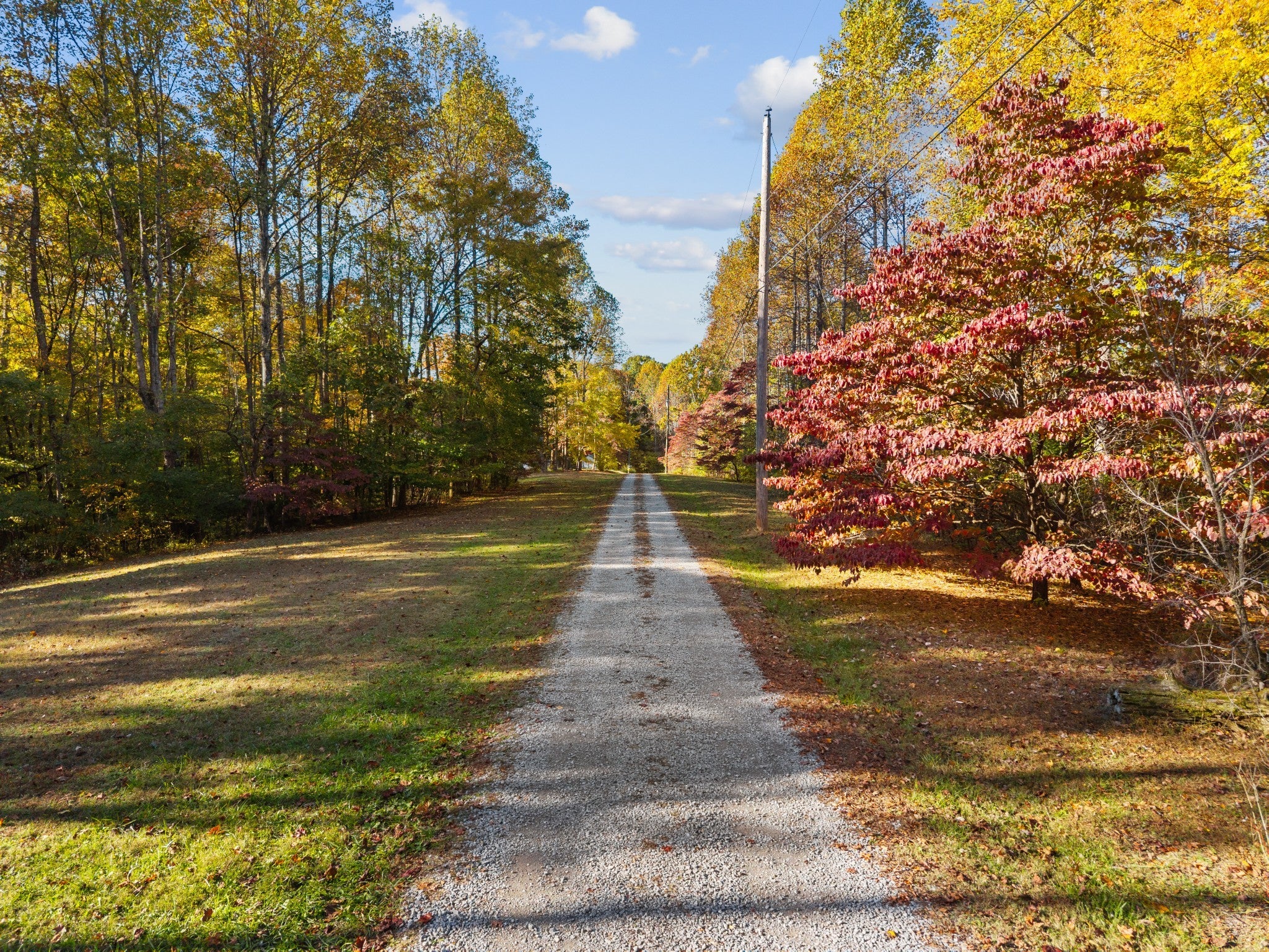 Photo of Listing #3042241