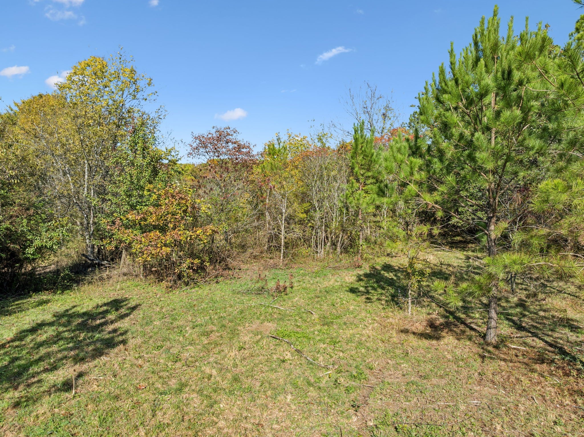 Photo of Listing #3042414