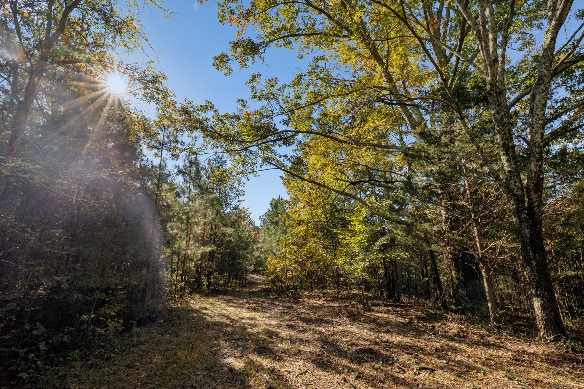 Photo for MLS 3042414 in 7489 Shoals Branch Rd Primm Springs, TN - 38476