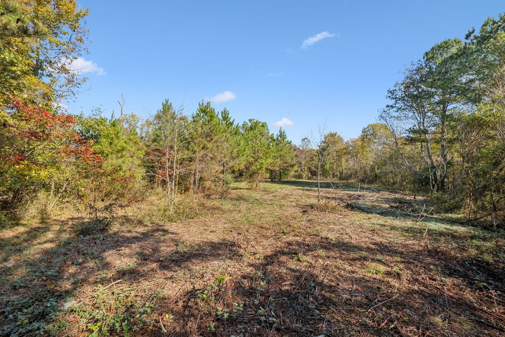 7489 Shoals Branch Rd, Primm Springs
