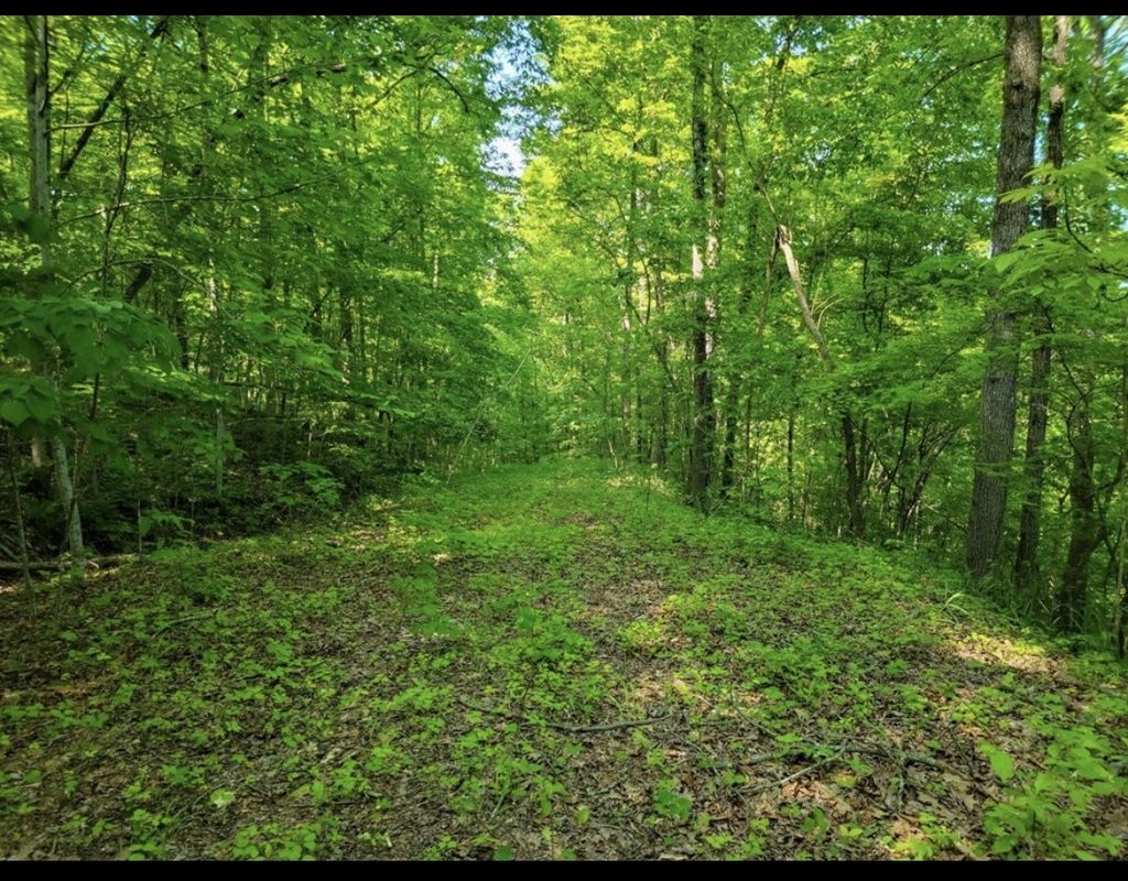 0 Shetland Trace, Sparta