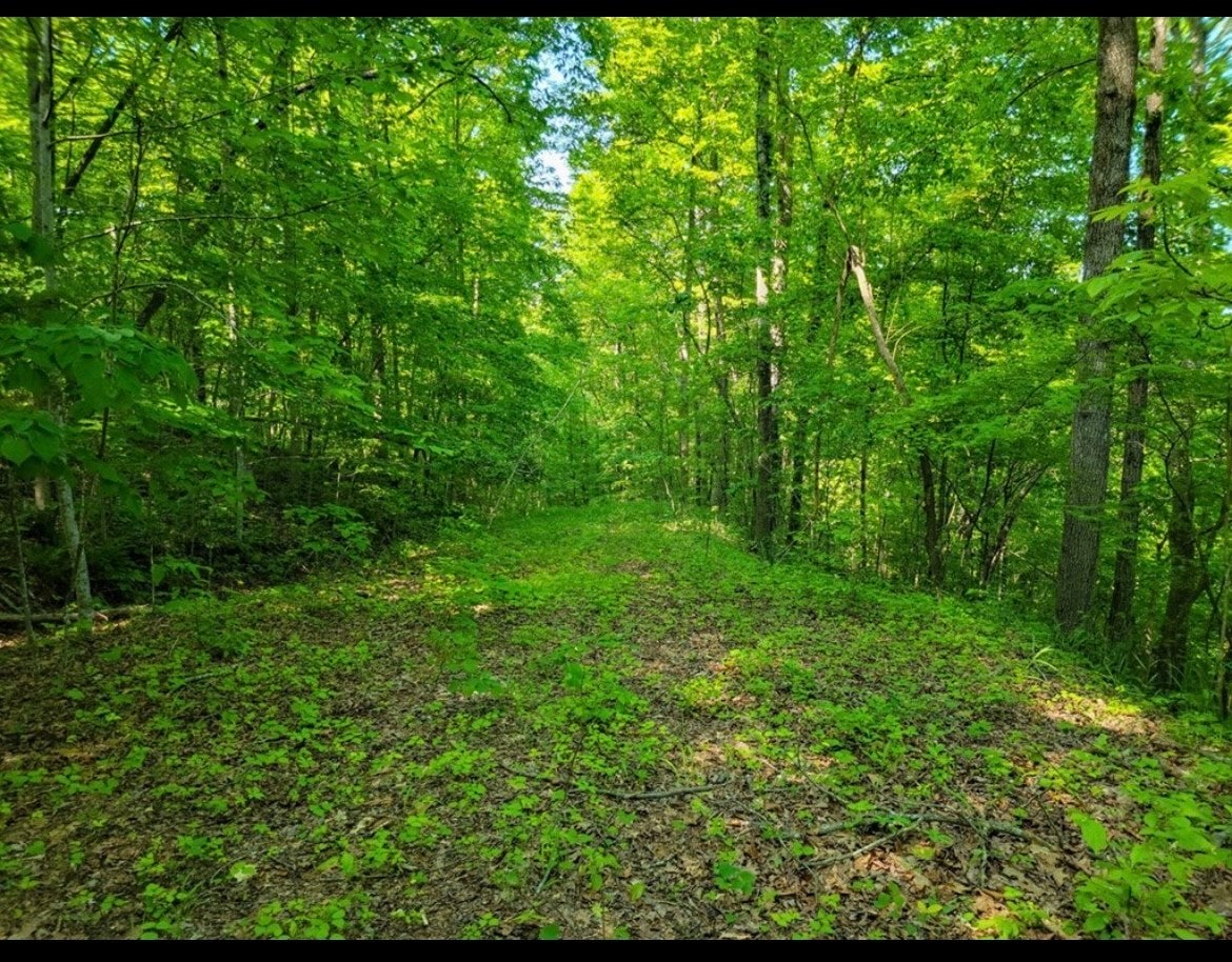 Photo of Listing #3042450