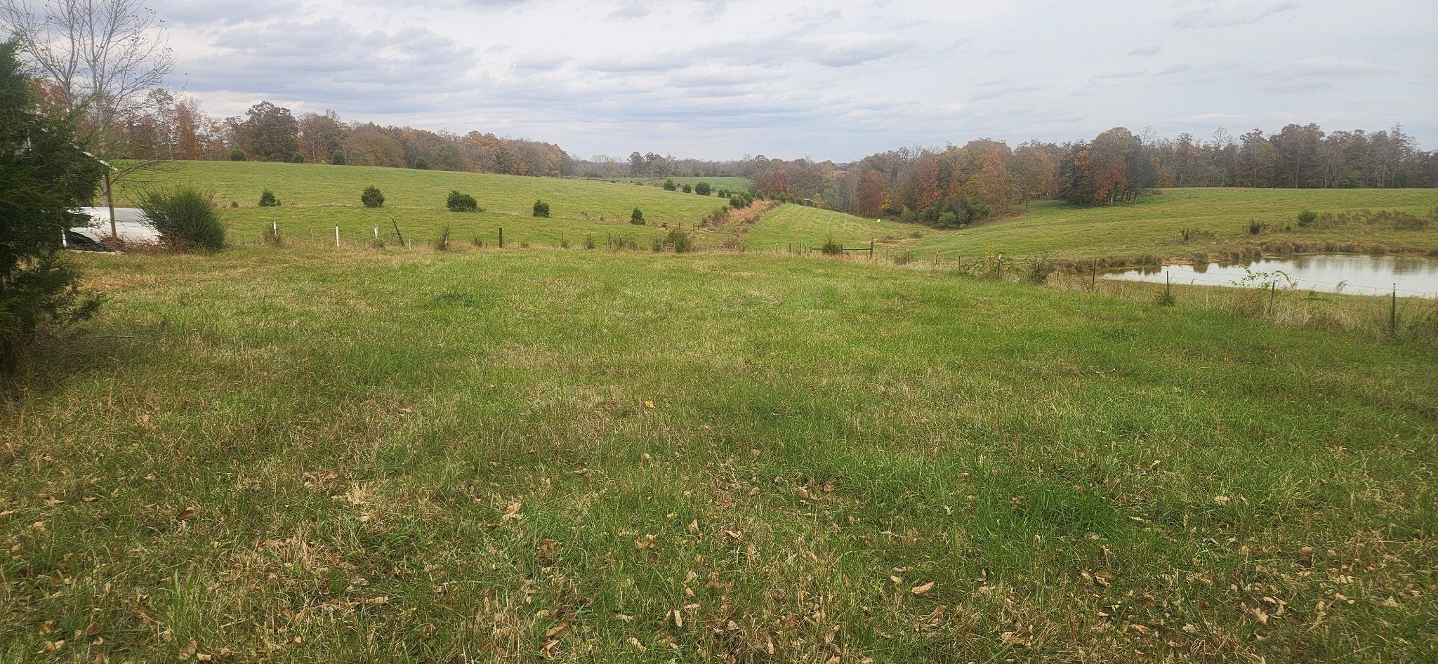 Photo of Listing #3042542