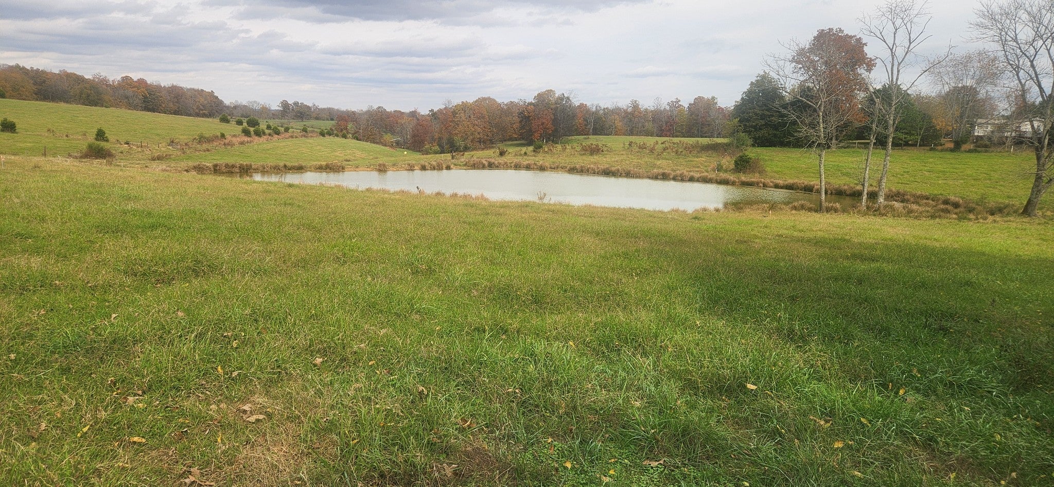 Photo of Listing #3042543