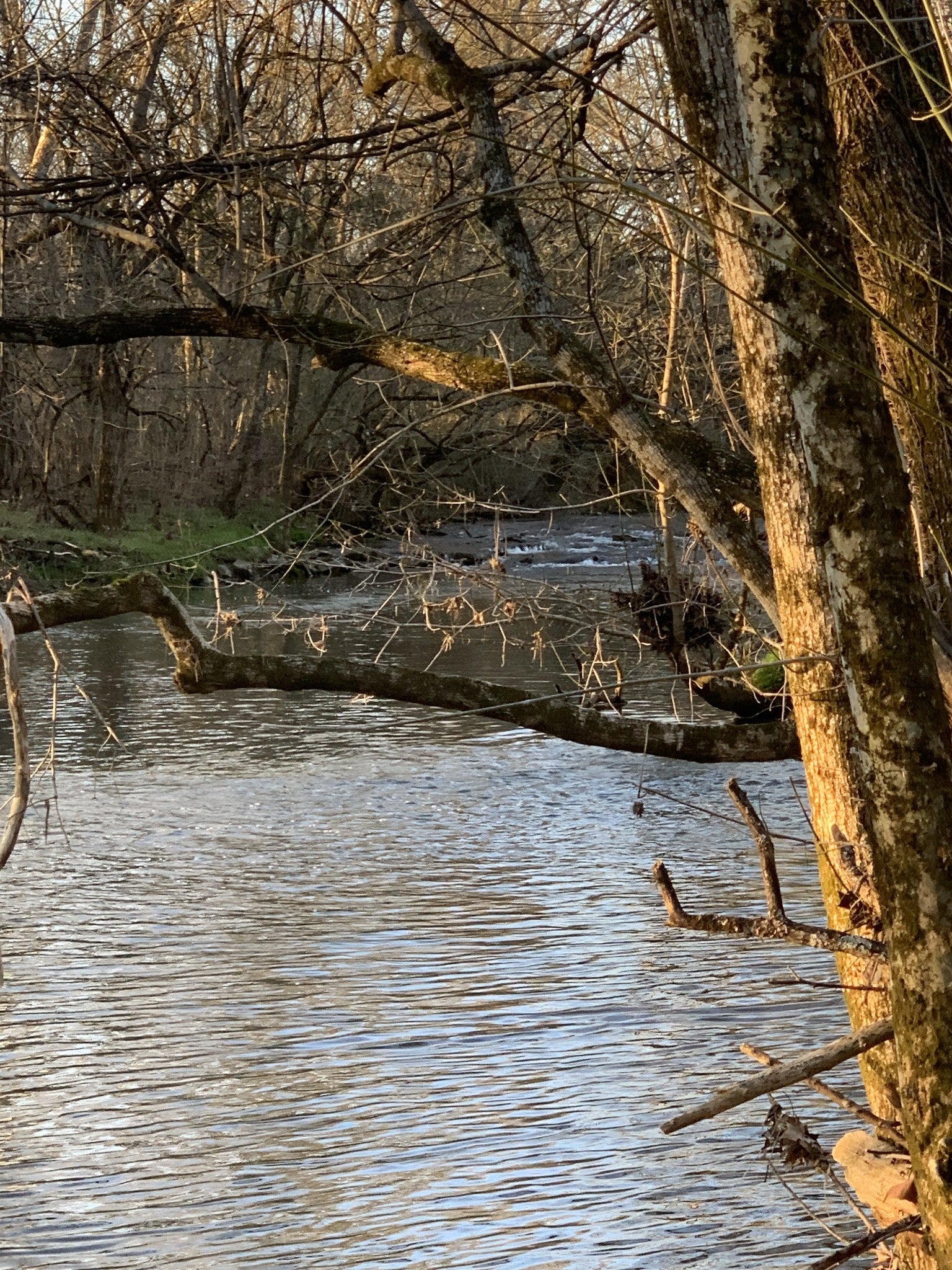 Photo of Listing #3042798