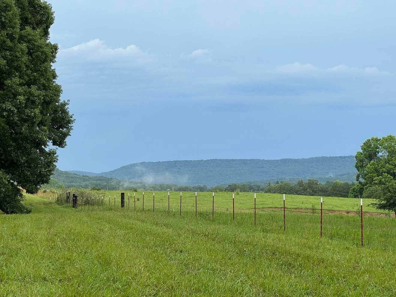 Photo of Listing #3042823