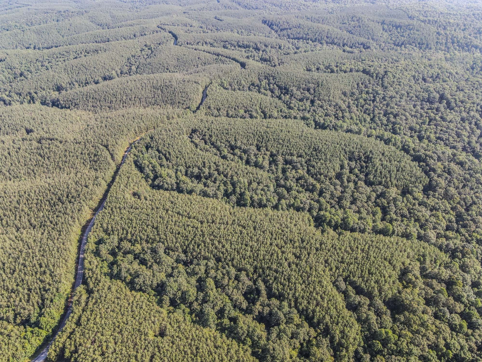 Photo of Listing #3042922