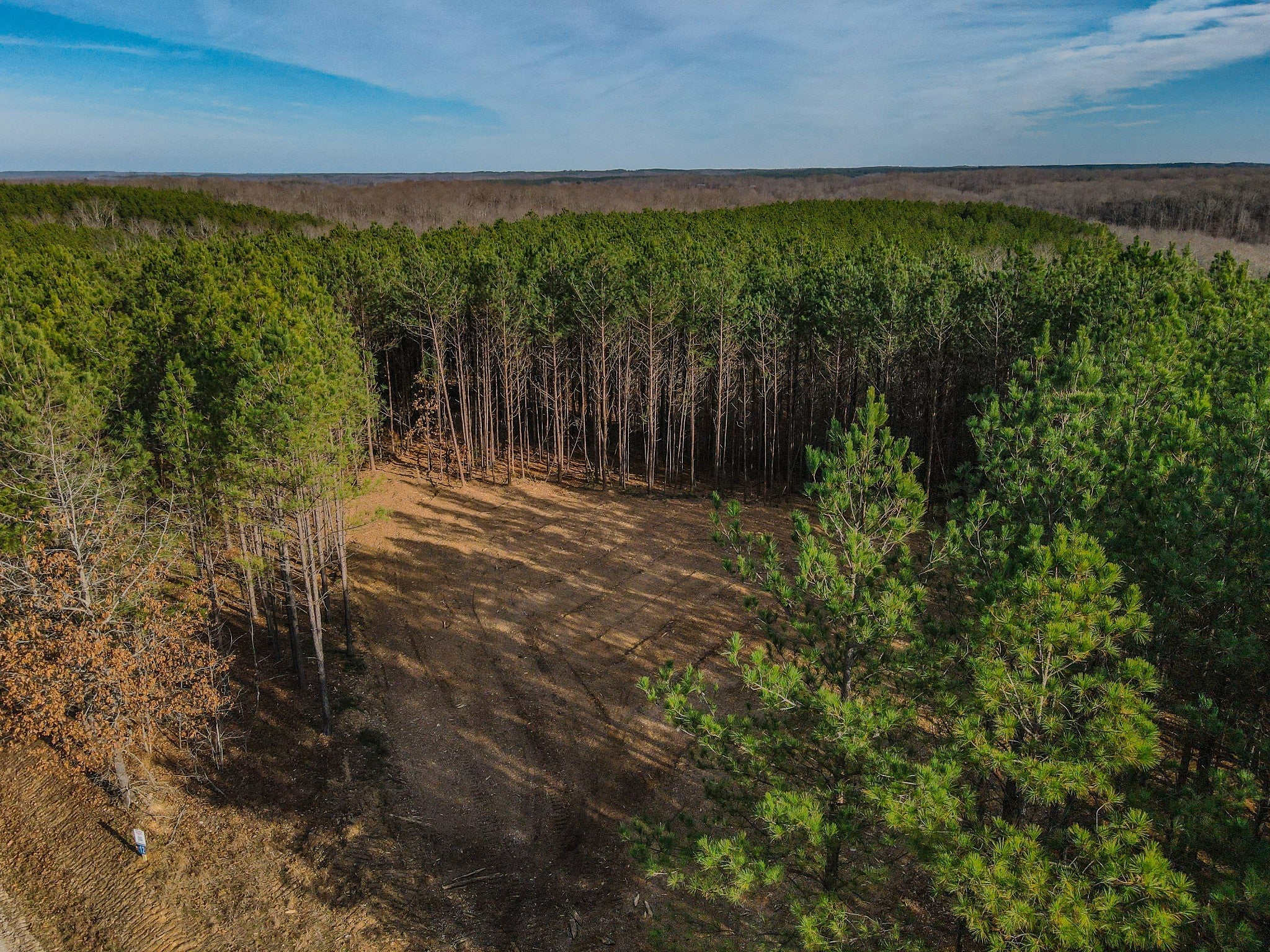 Photo of Listing #3042922