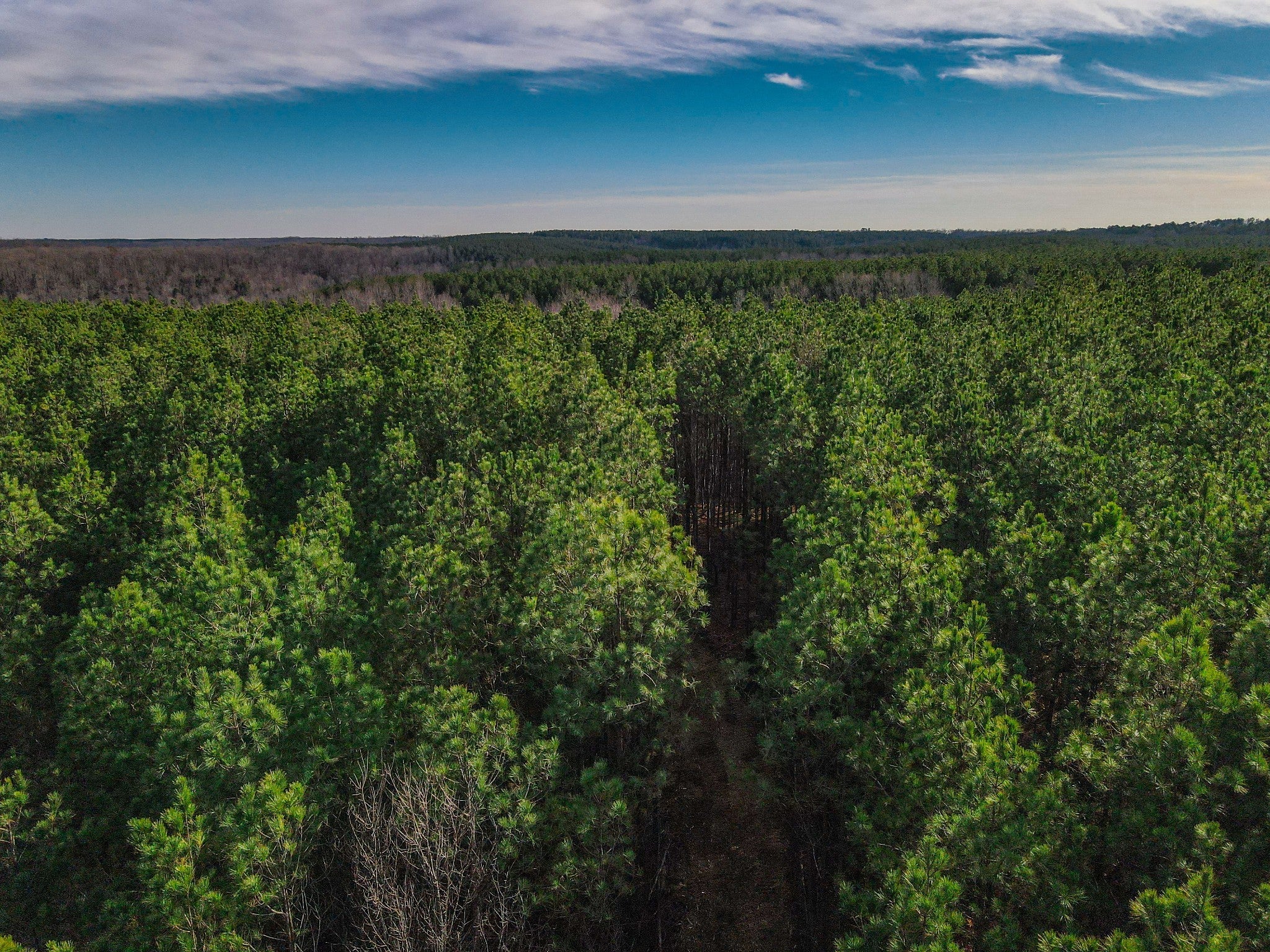 Photo of Listing #3042923