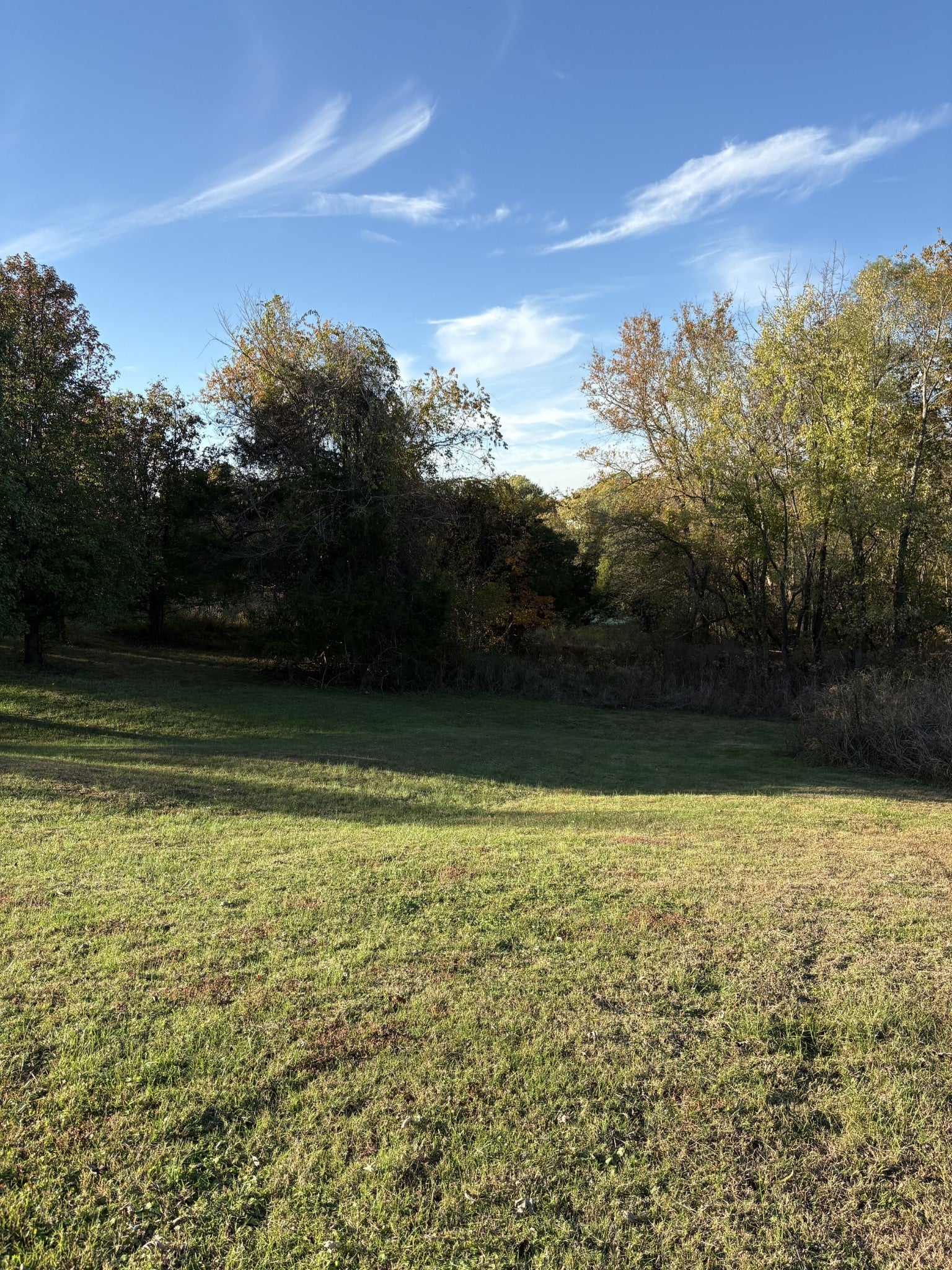 Photo of Listing #3042934