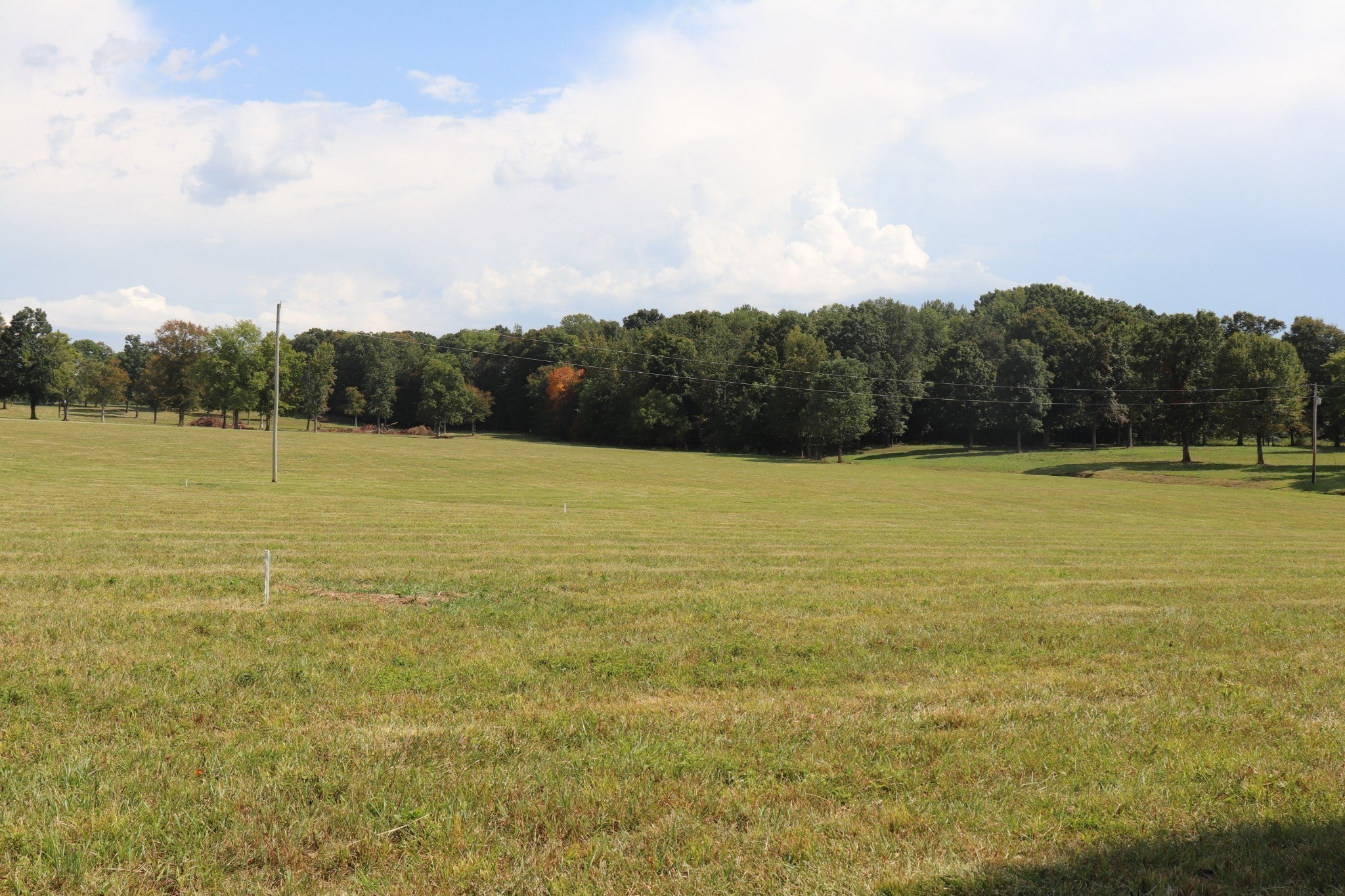 Photo of Listing #3042944