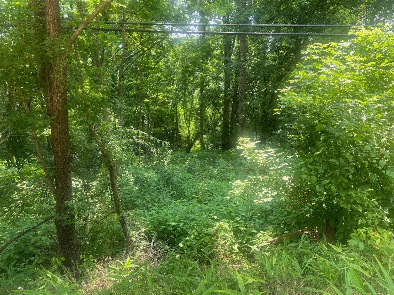 Photo of Listing #3042986