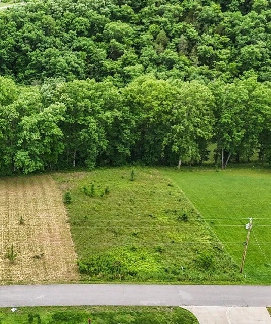 Photo of Listing #3043060