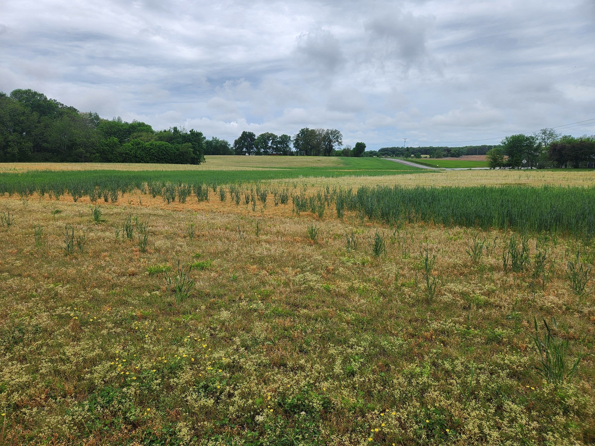 Photo of Listing #3043164