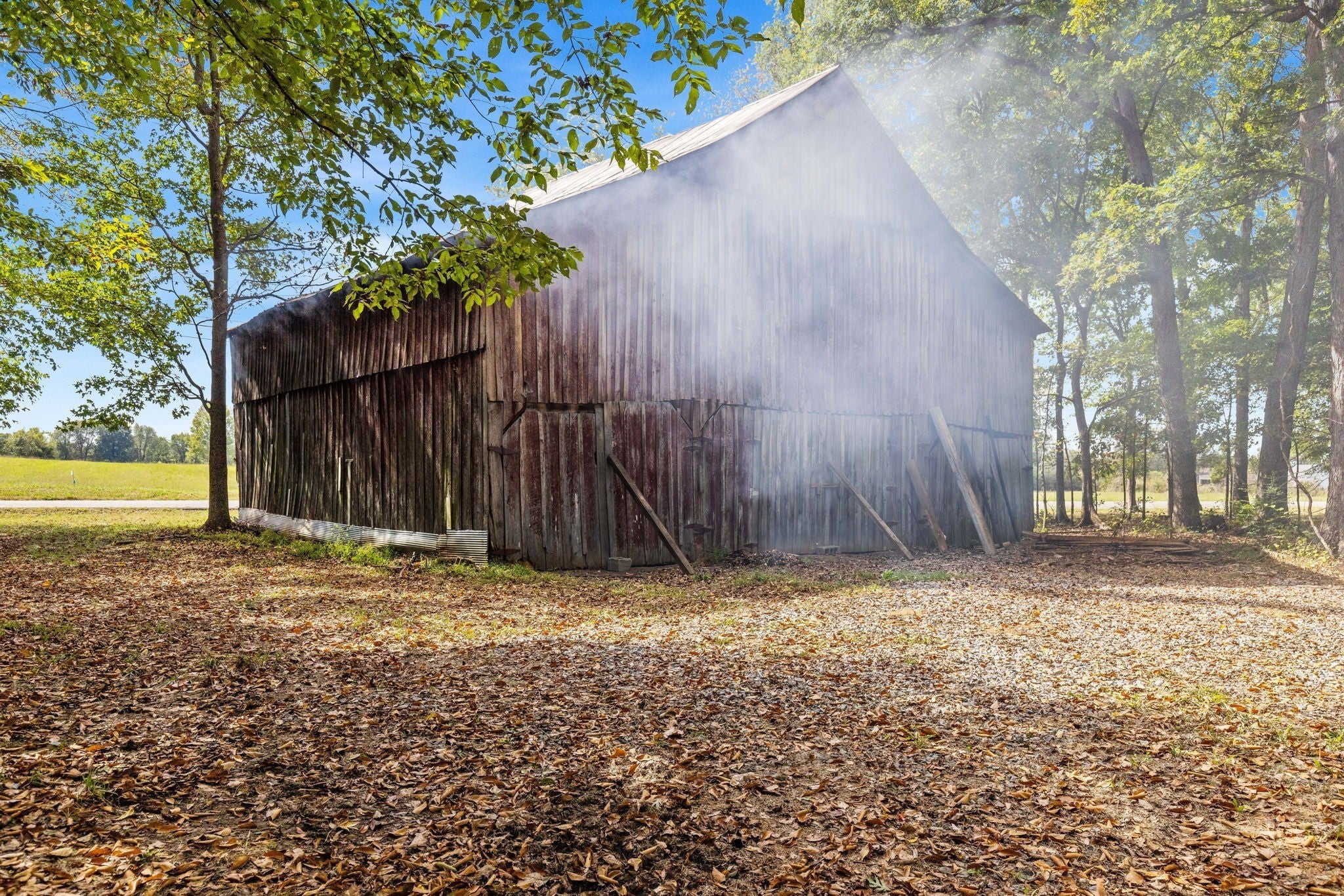 Photo of Listing #3043221