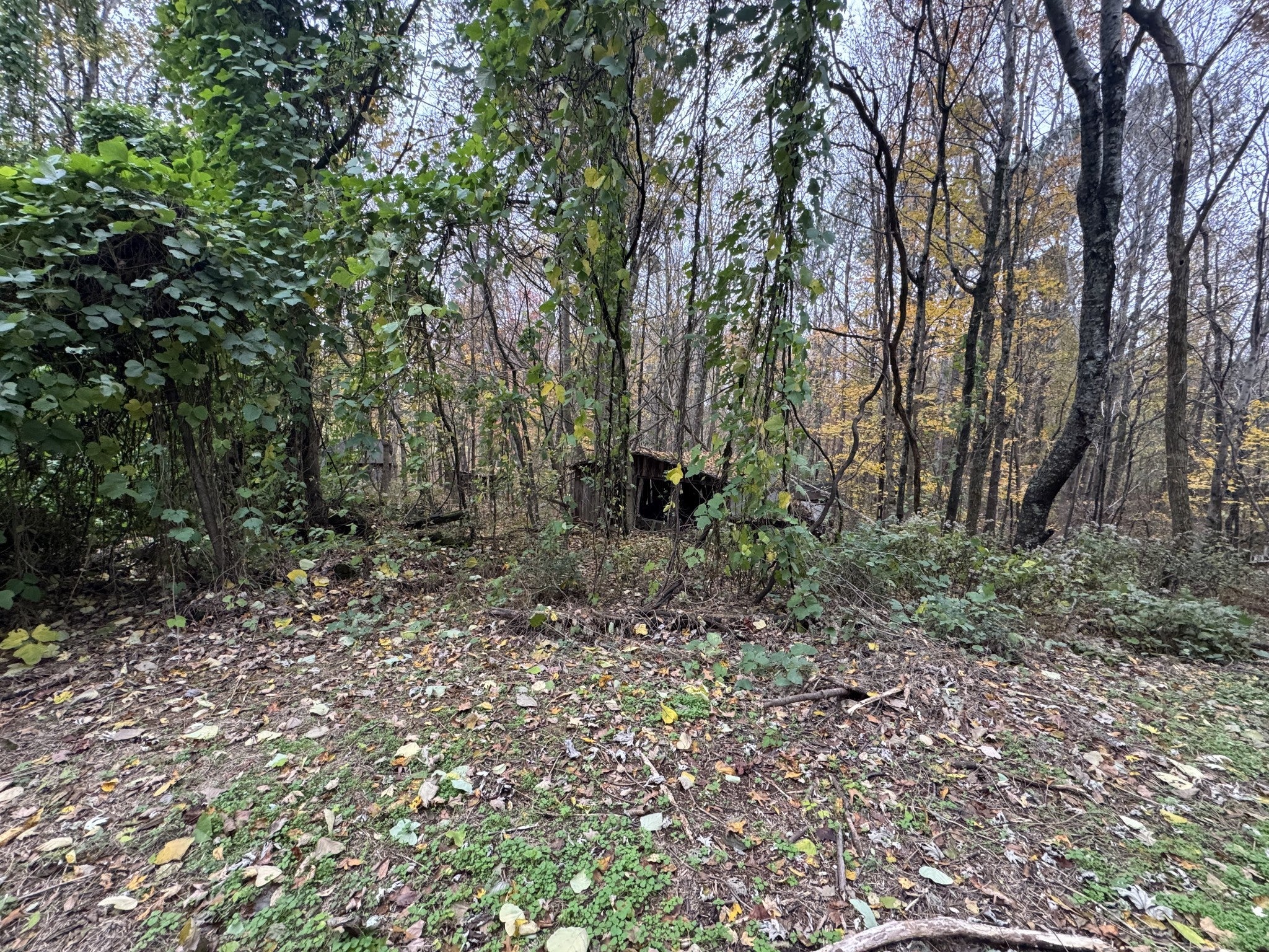 Photo of Listing #3043223