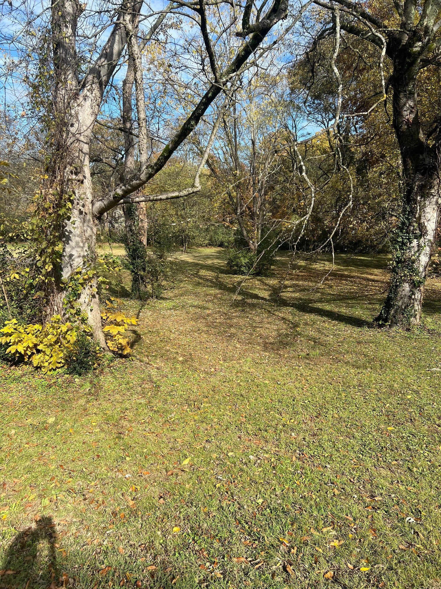 Photo of Listing #3043233