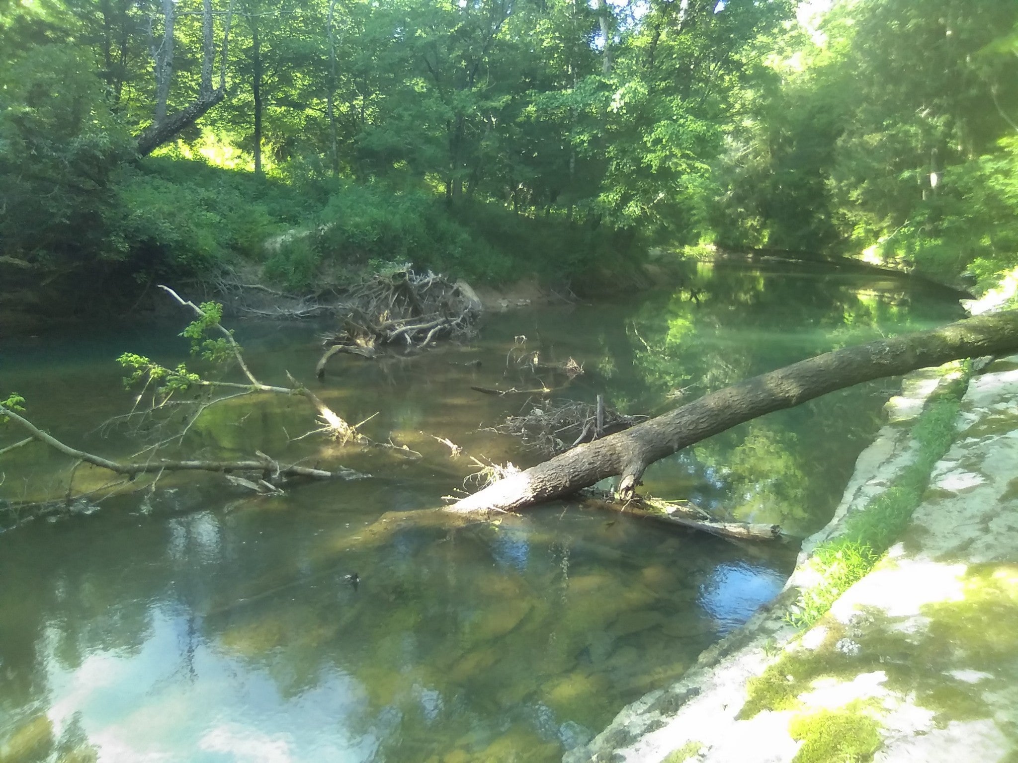 Photo of Listing #3043235