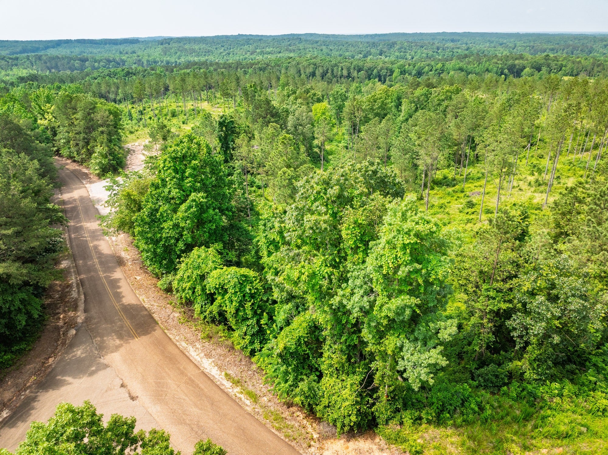 Photo of Listing #3043258