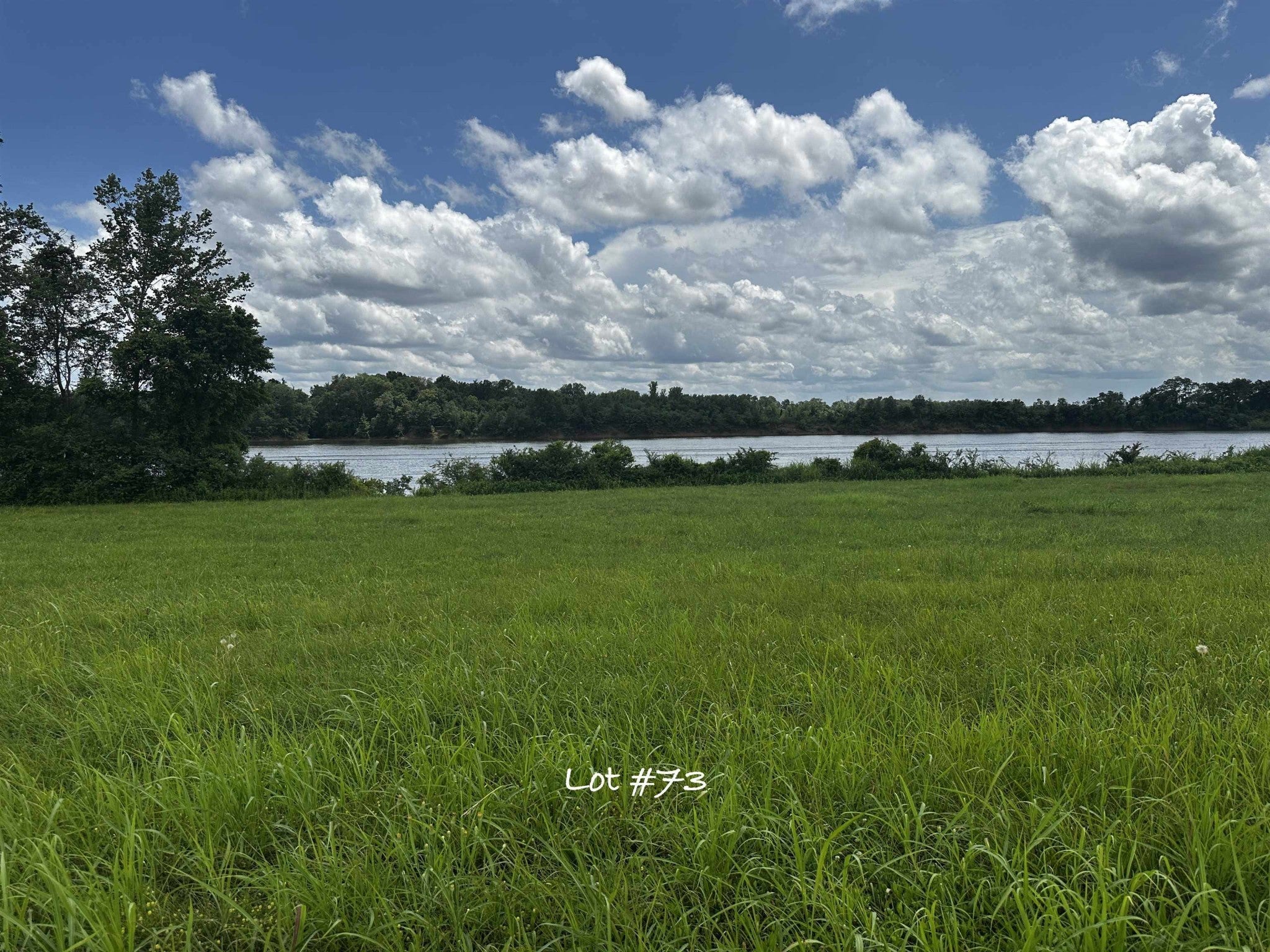 Photo of Listing #3043271