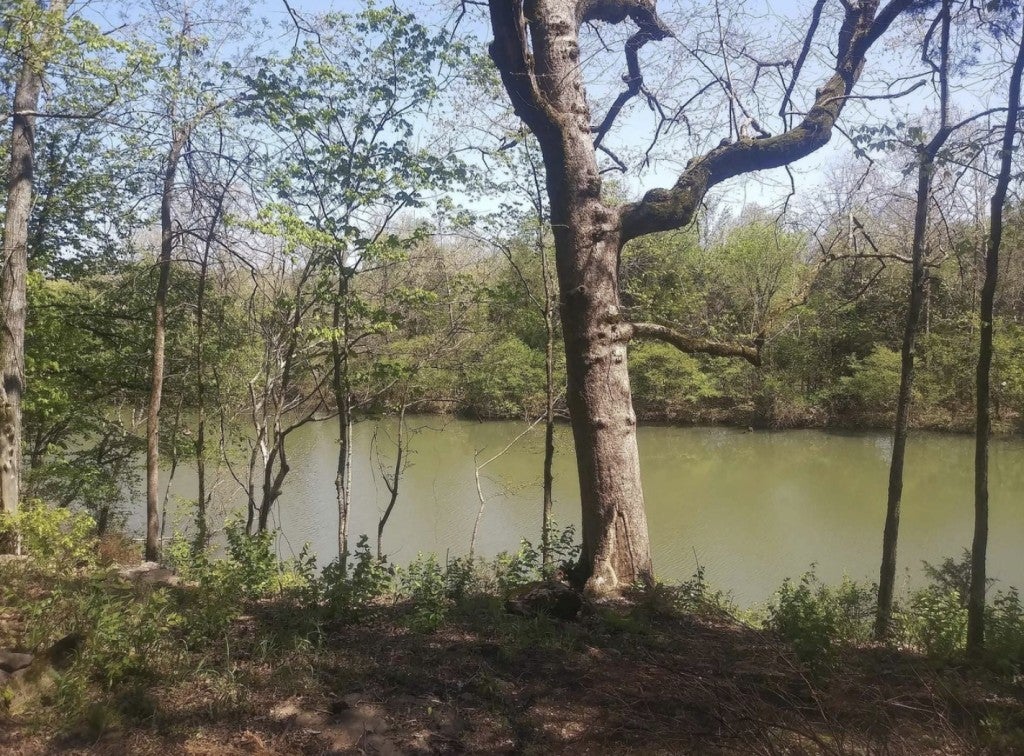 Photo of Listing #3043305