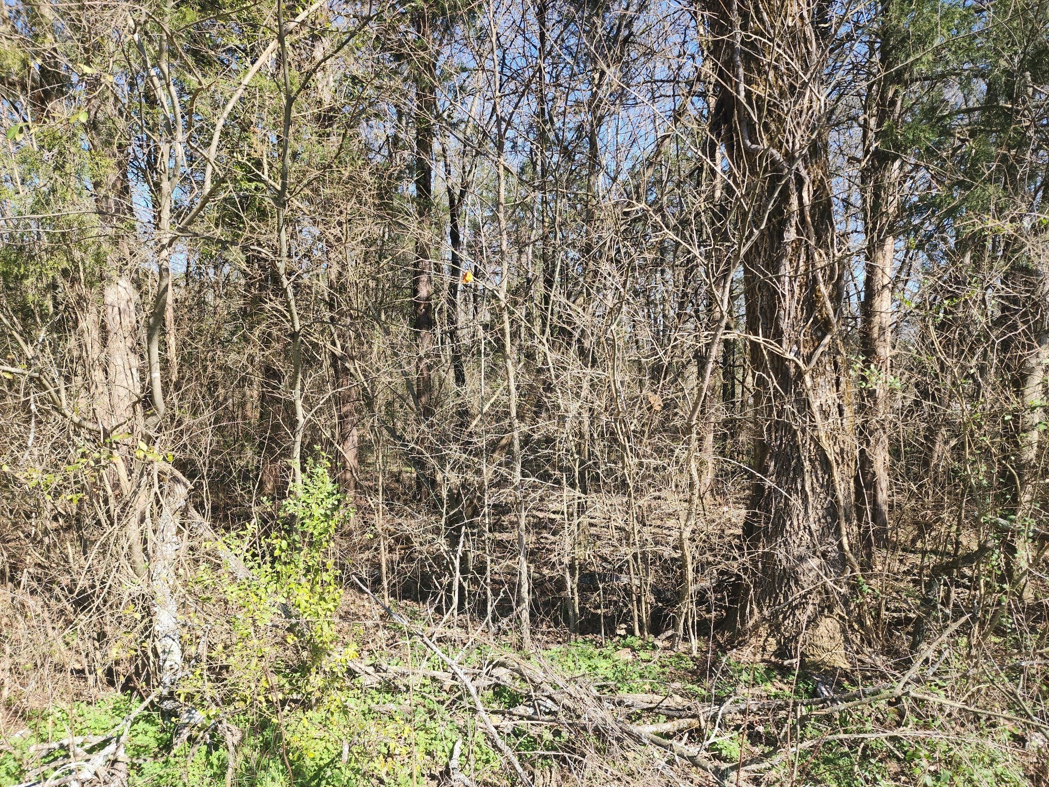 Photo of Listing #3043447