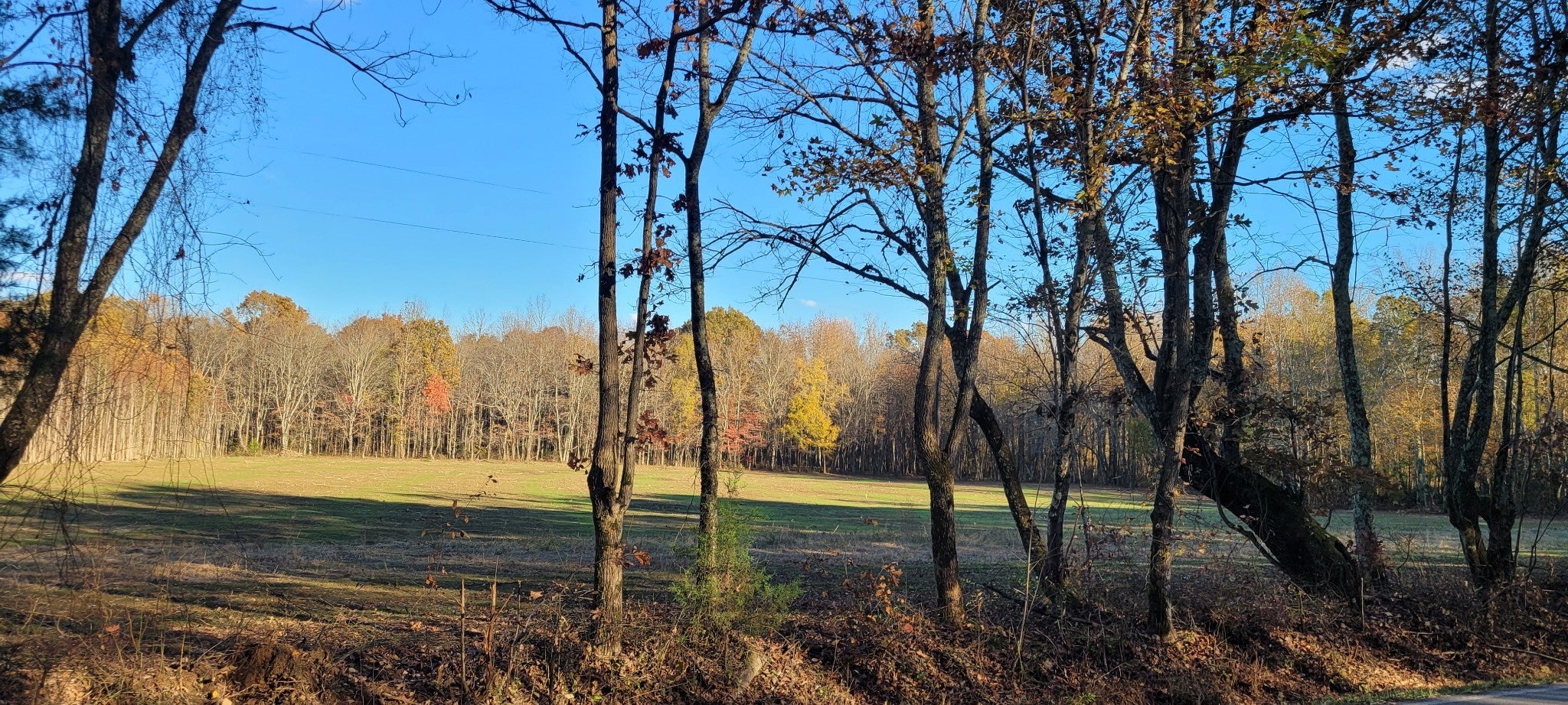 Photo of Listing #3043577