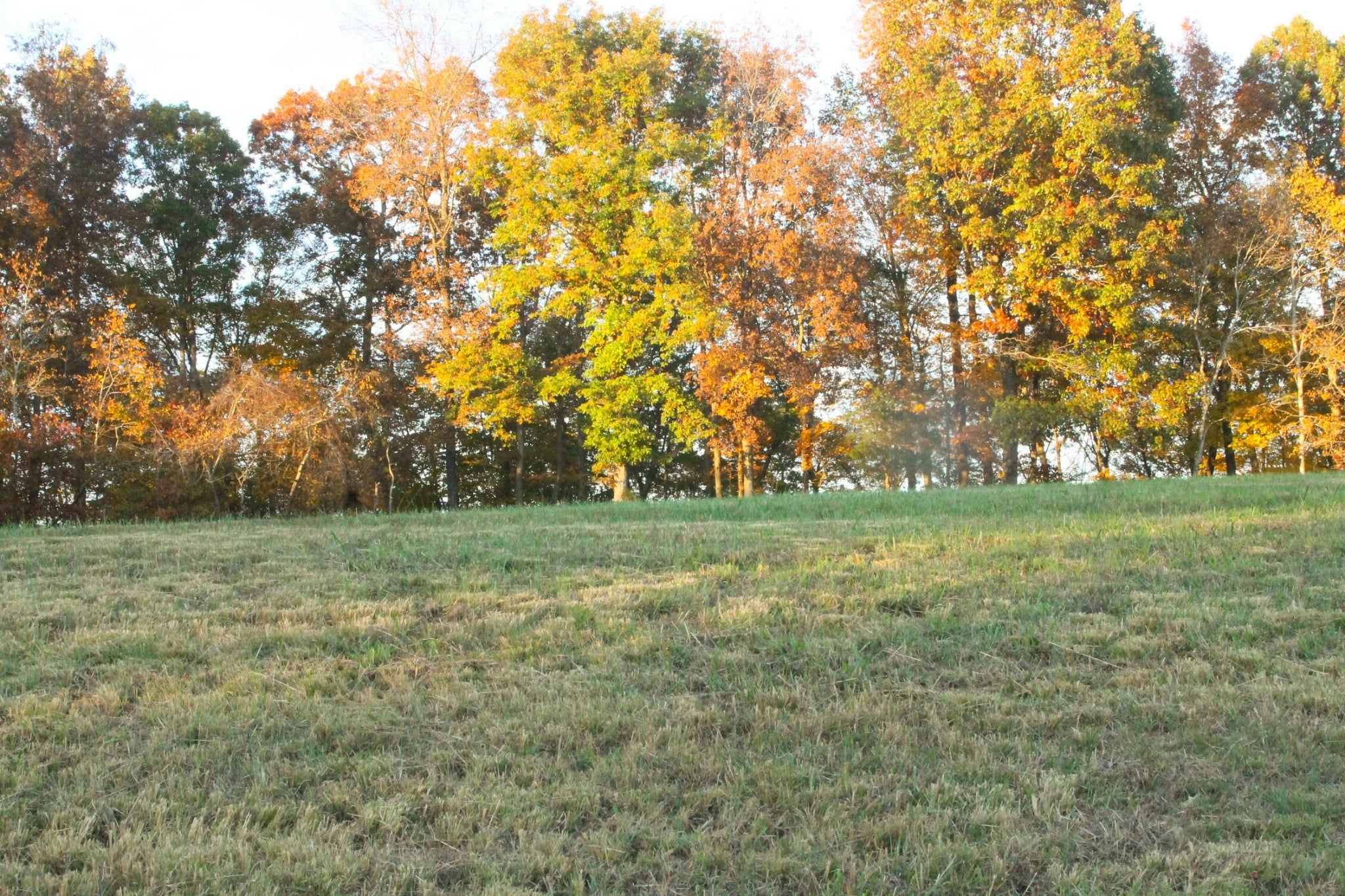 Land Real Estate for sale in Adams, TN