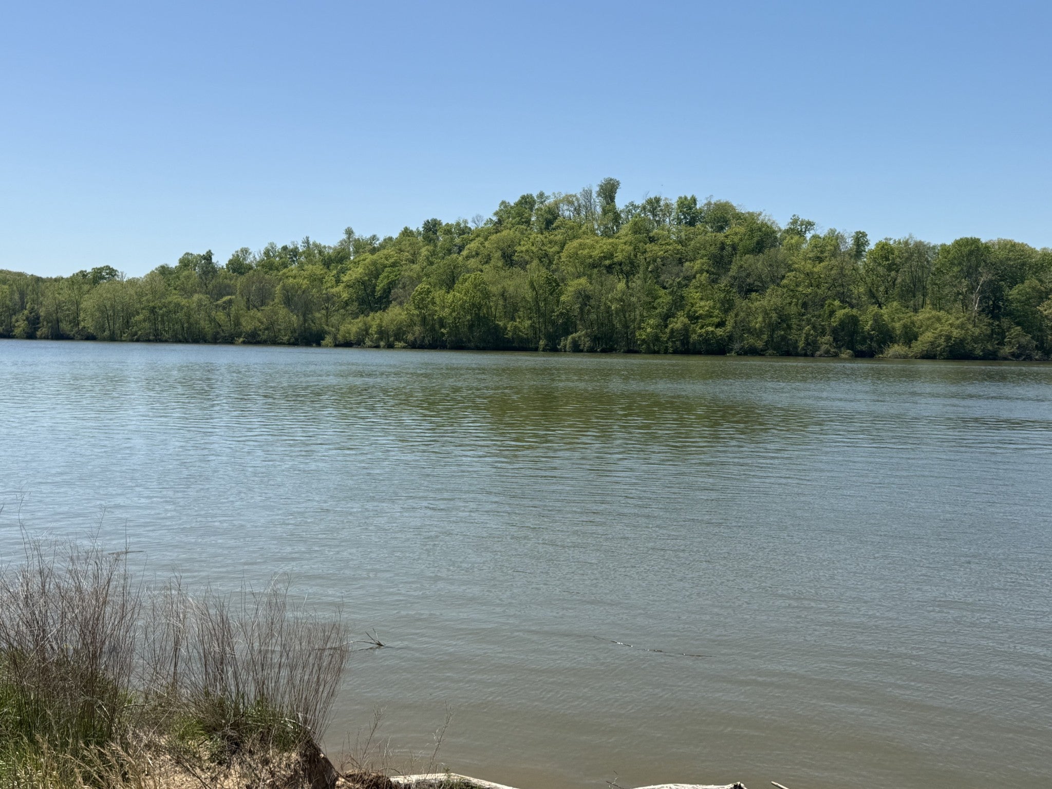 Photo of Listing #3043658