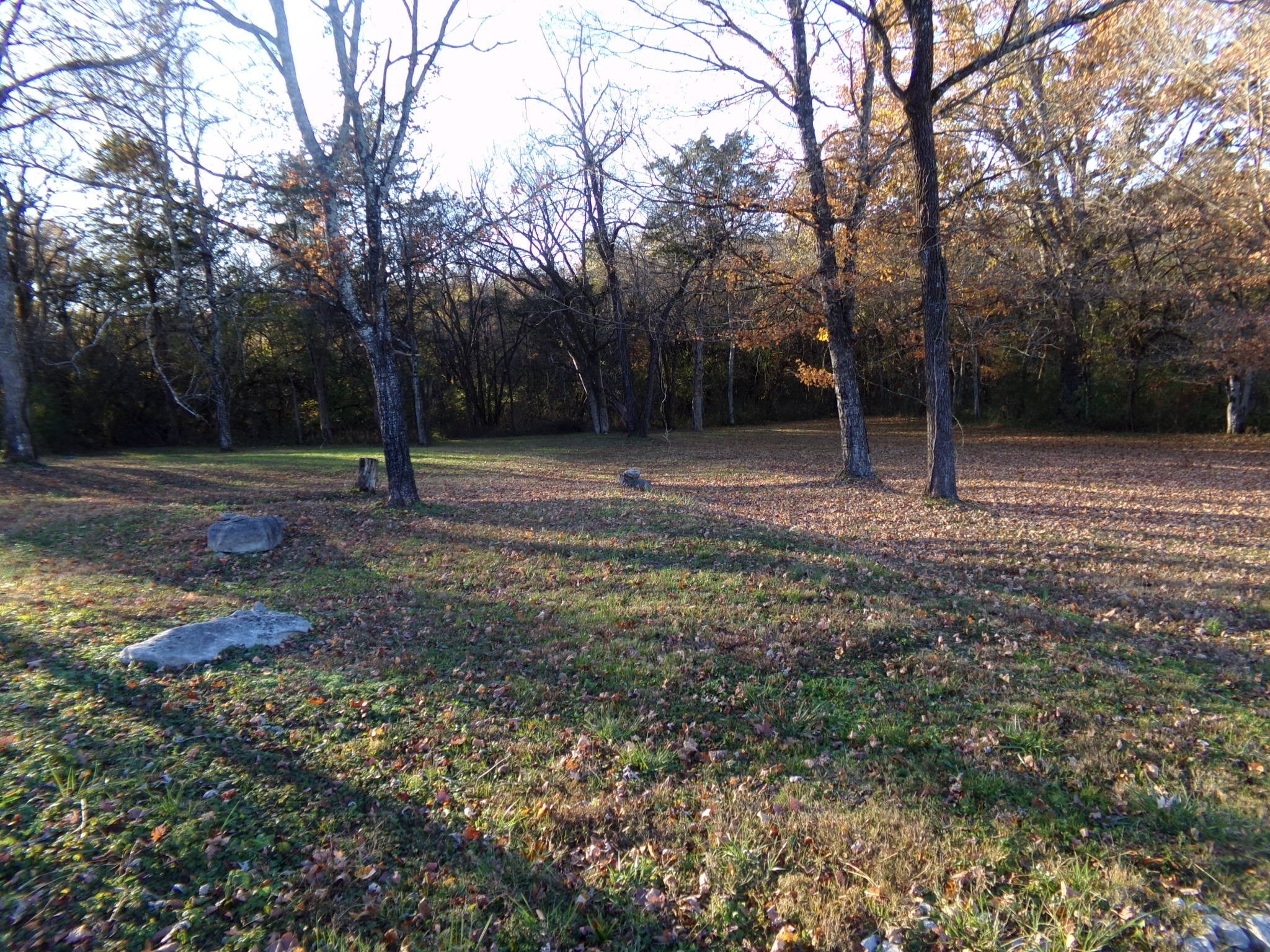 Photo of Listing #3043707