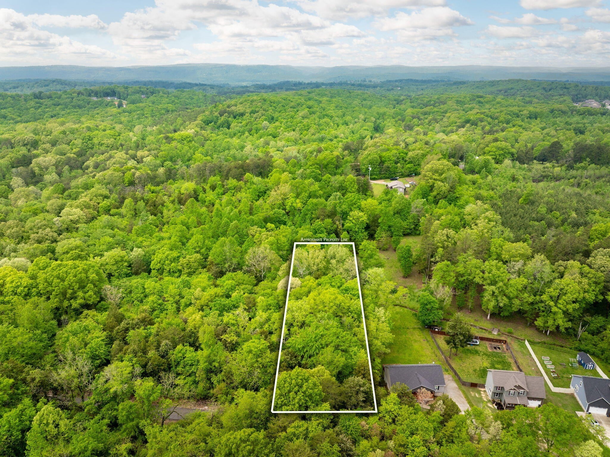 Photo of Listing #3043750