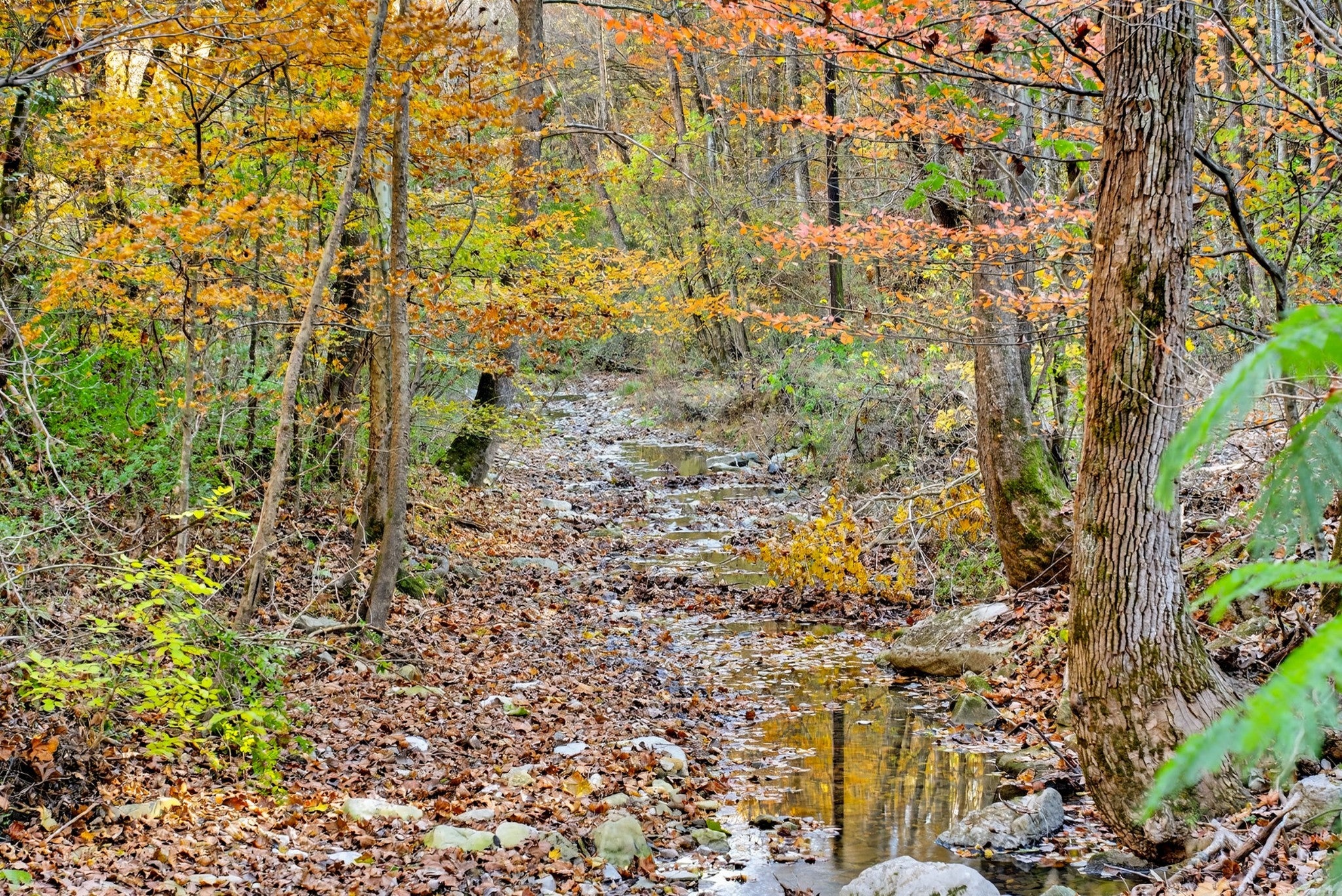 Photo of Listing #3044257