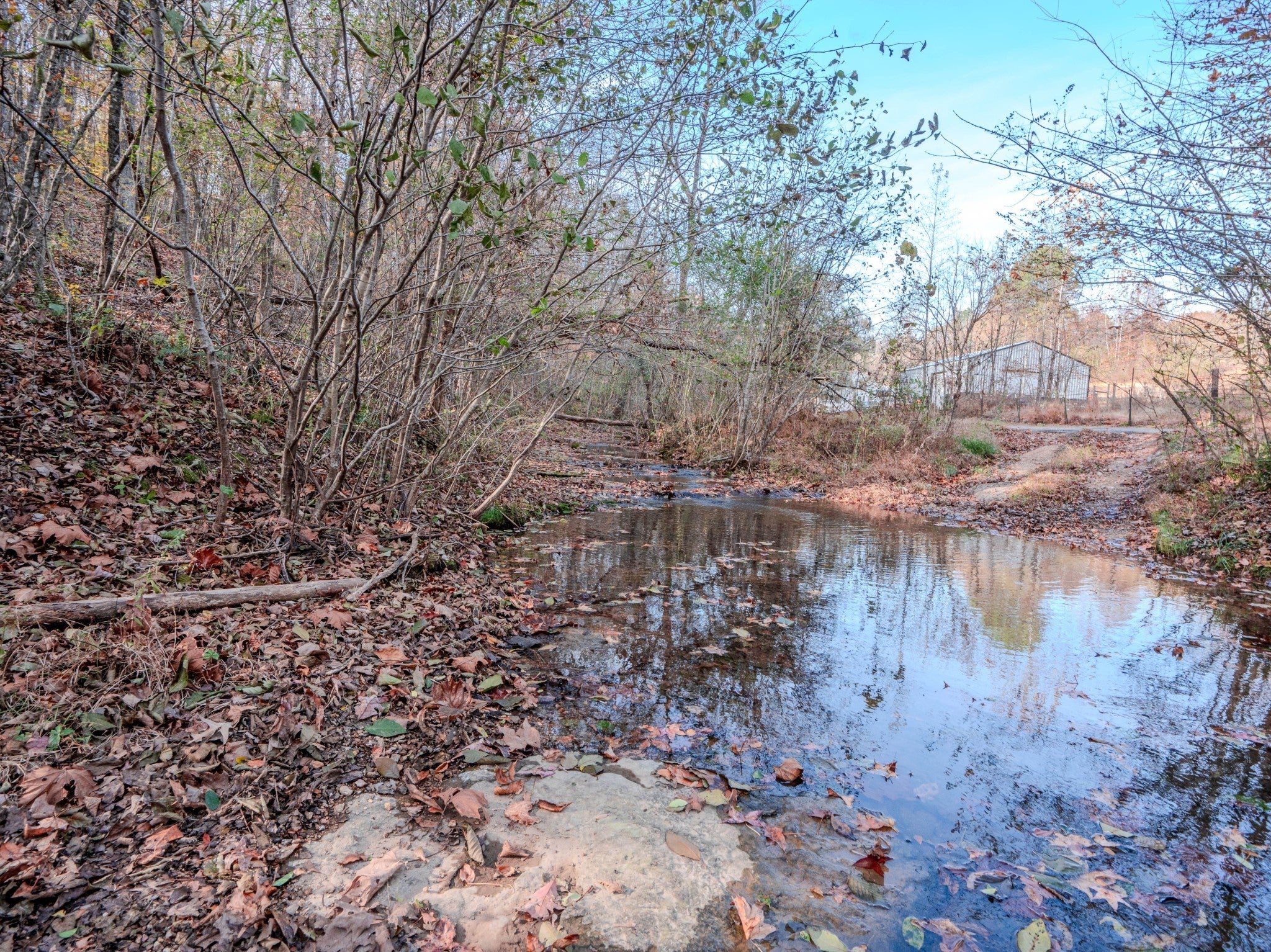 Photo of Listing #3044934