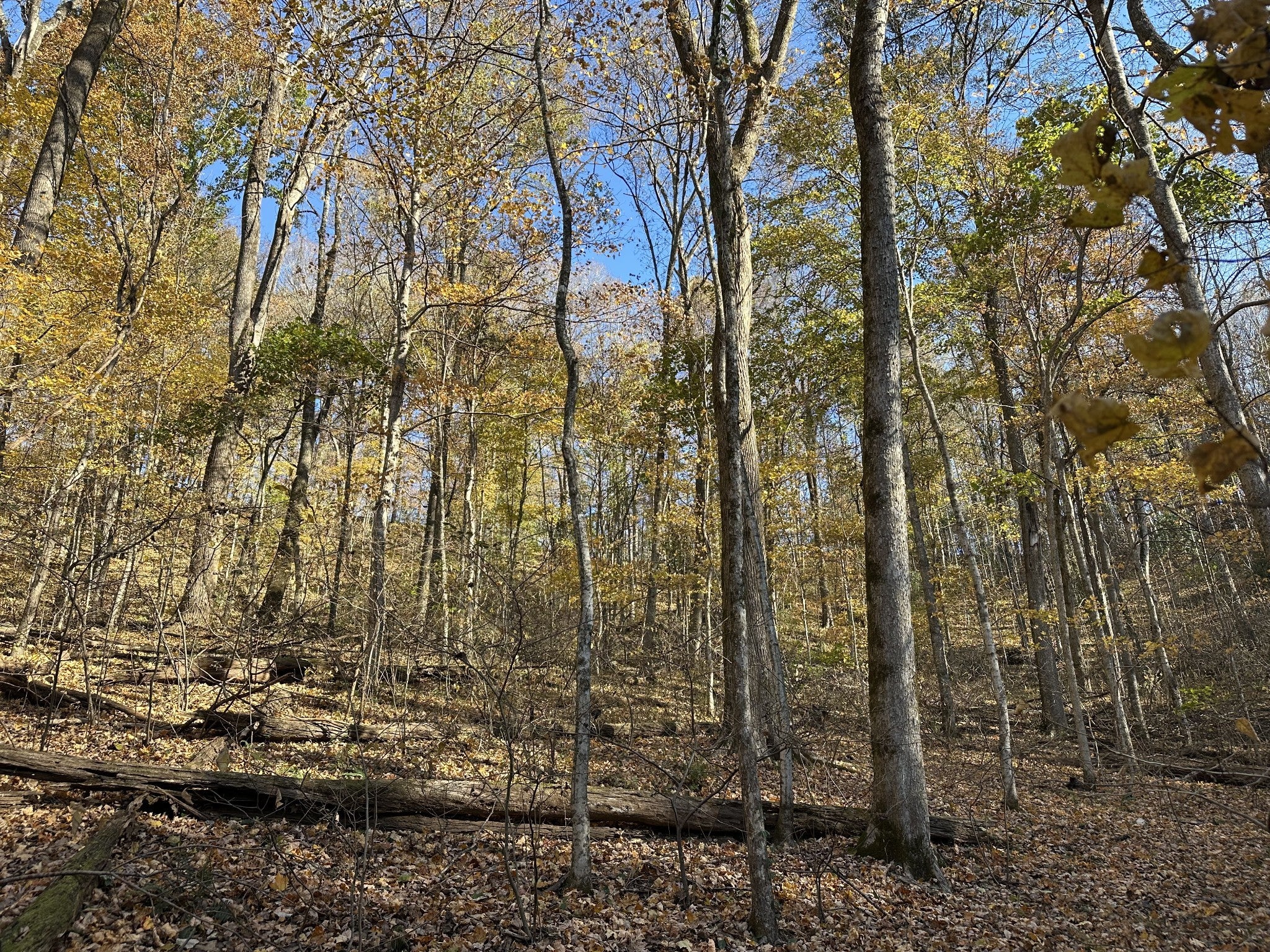 Photo of Listing #3044959