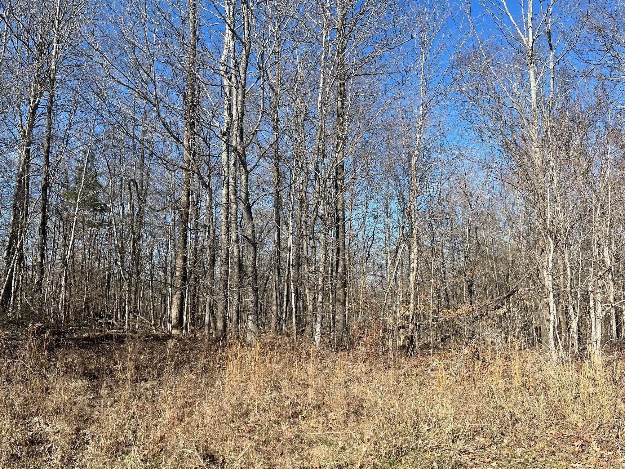 Photo of Listing #3045151