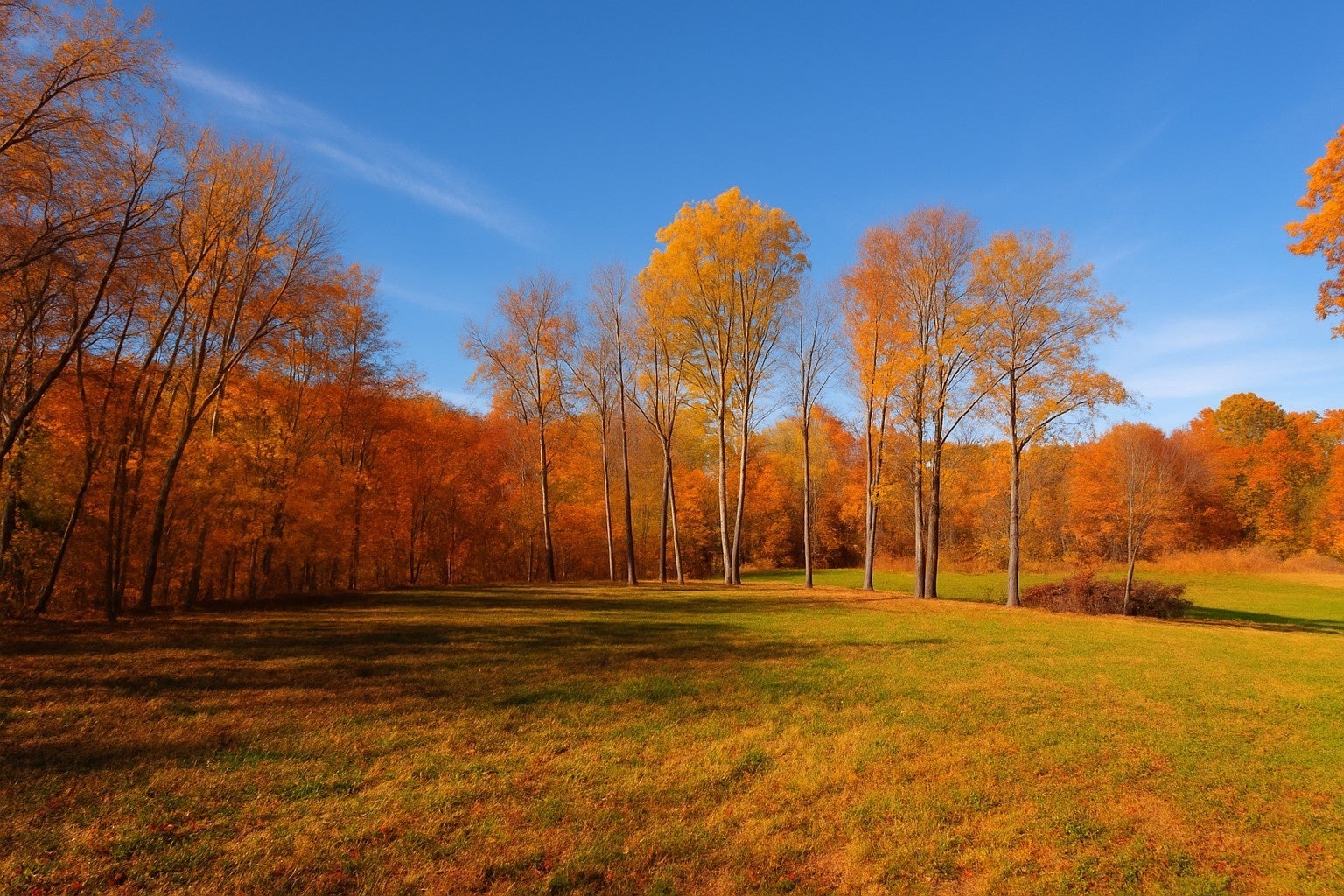 Photo of Listing #3045255