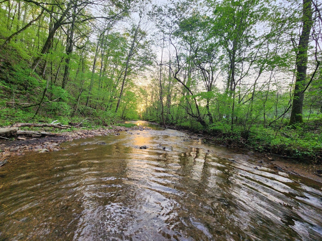 0 Blowing Springs Rd, Lawrenceburg