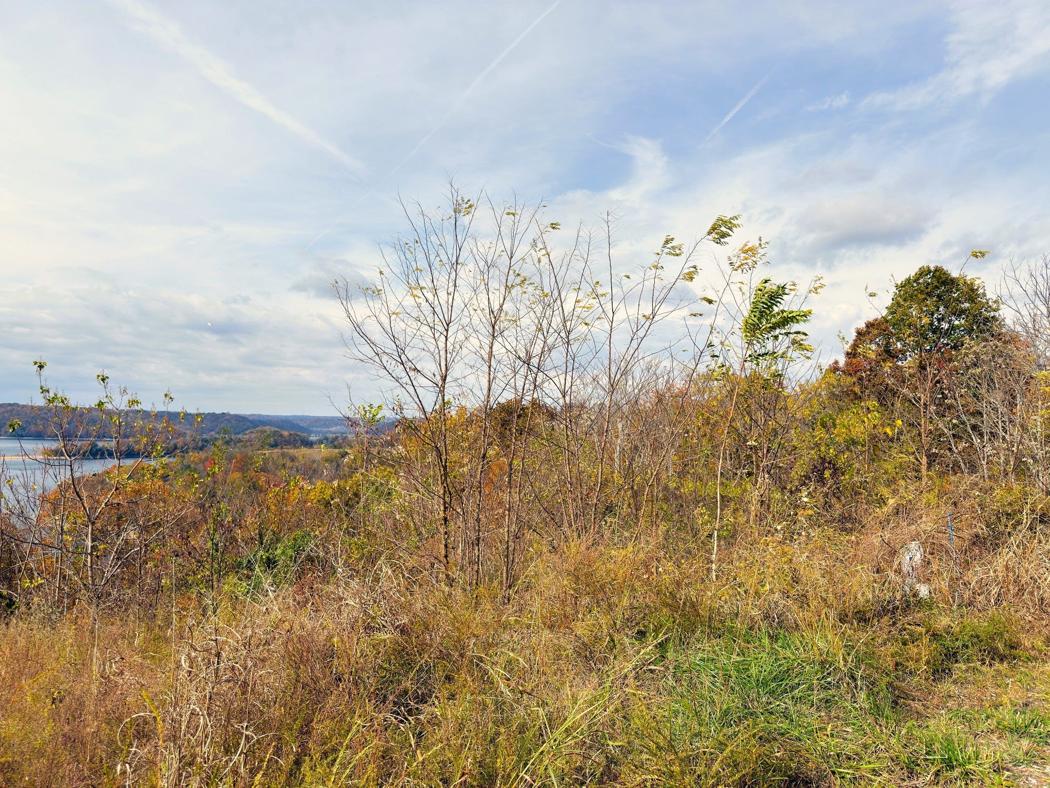 Photo of Listing #3045356