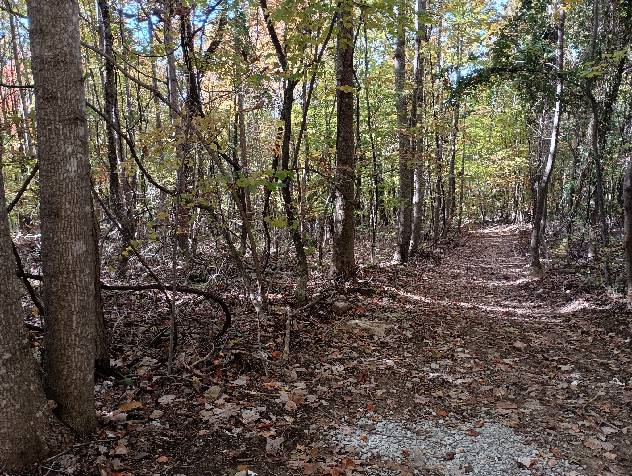 Photo of Listing #3045388