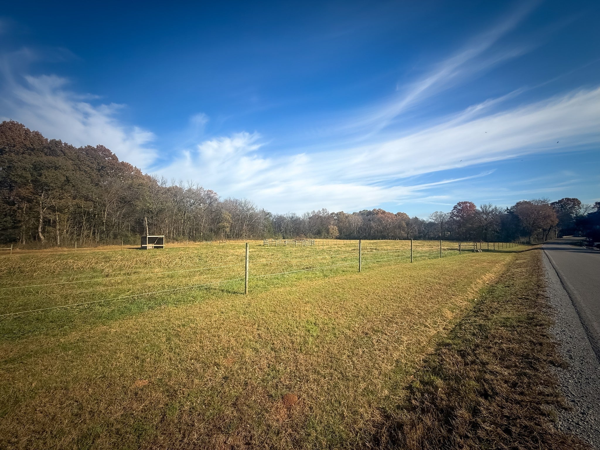 Photo of Listing #3045425