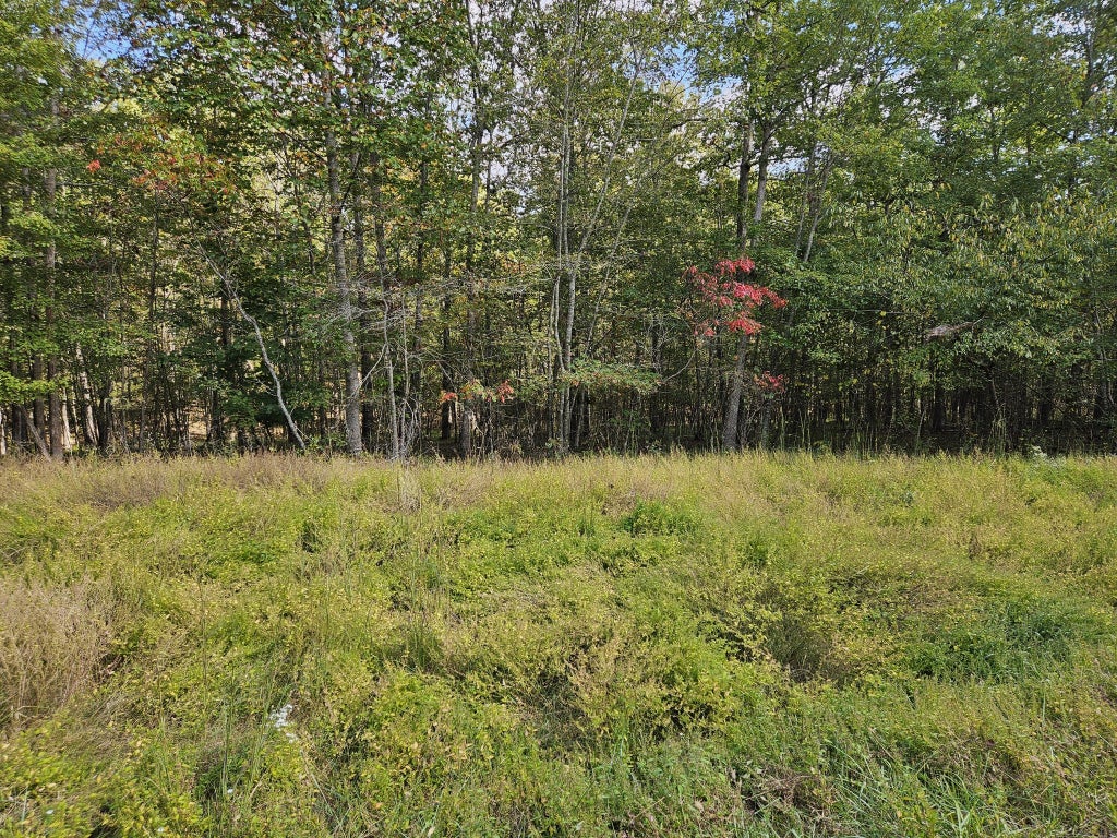 0 Holly Lane, Spencer