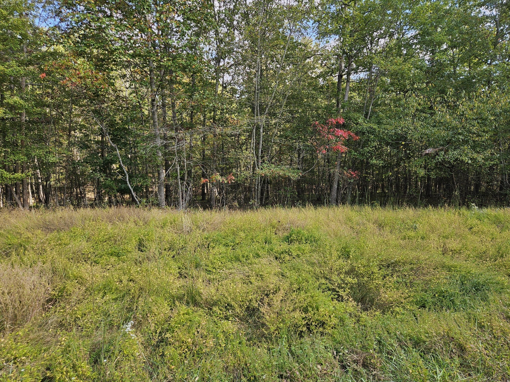 Photo of Listing #3045534