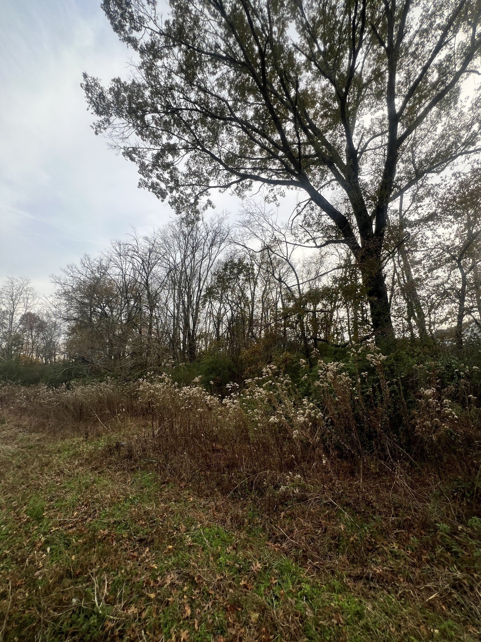 Photo of Listing #3045648