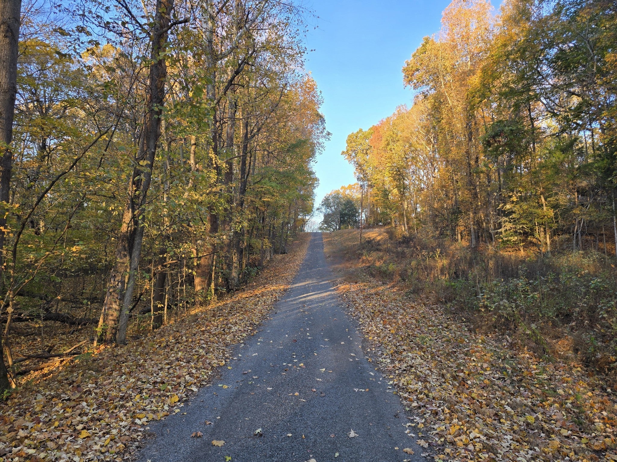 Photo of Listing #3045715