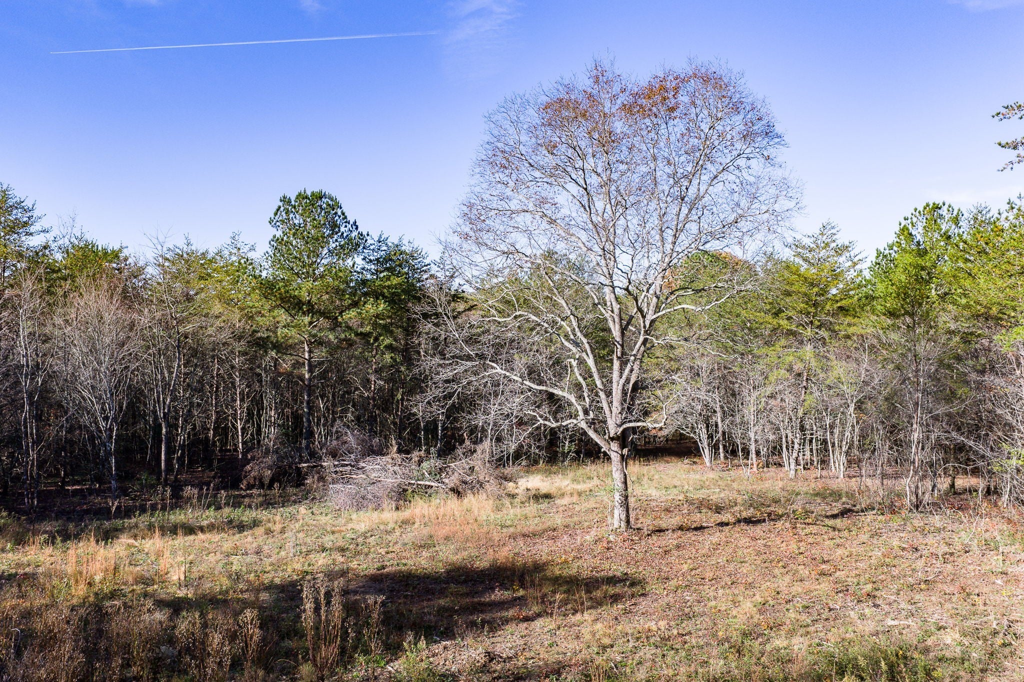 Photo of Listing #3045752