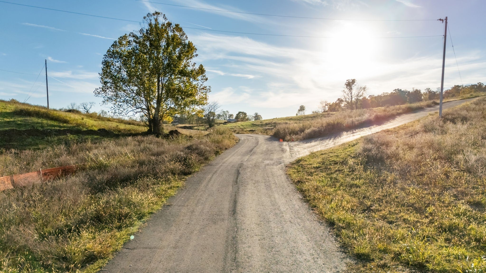 Photo of Listing #3046368