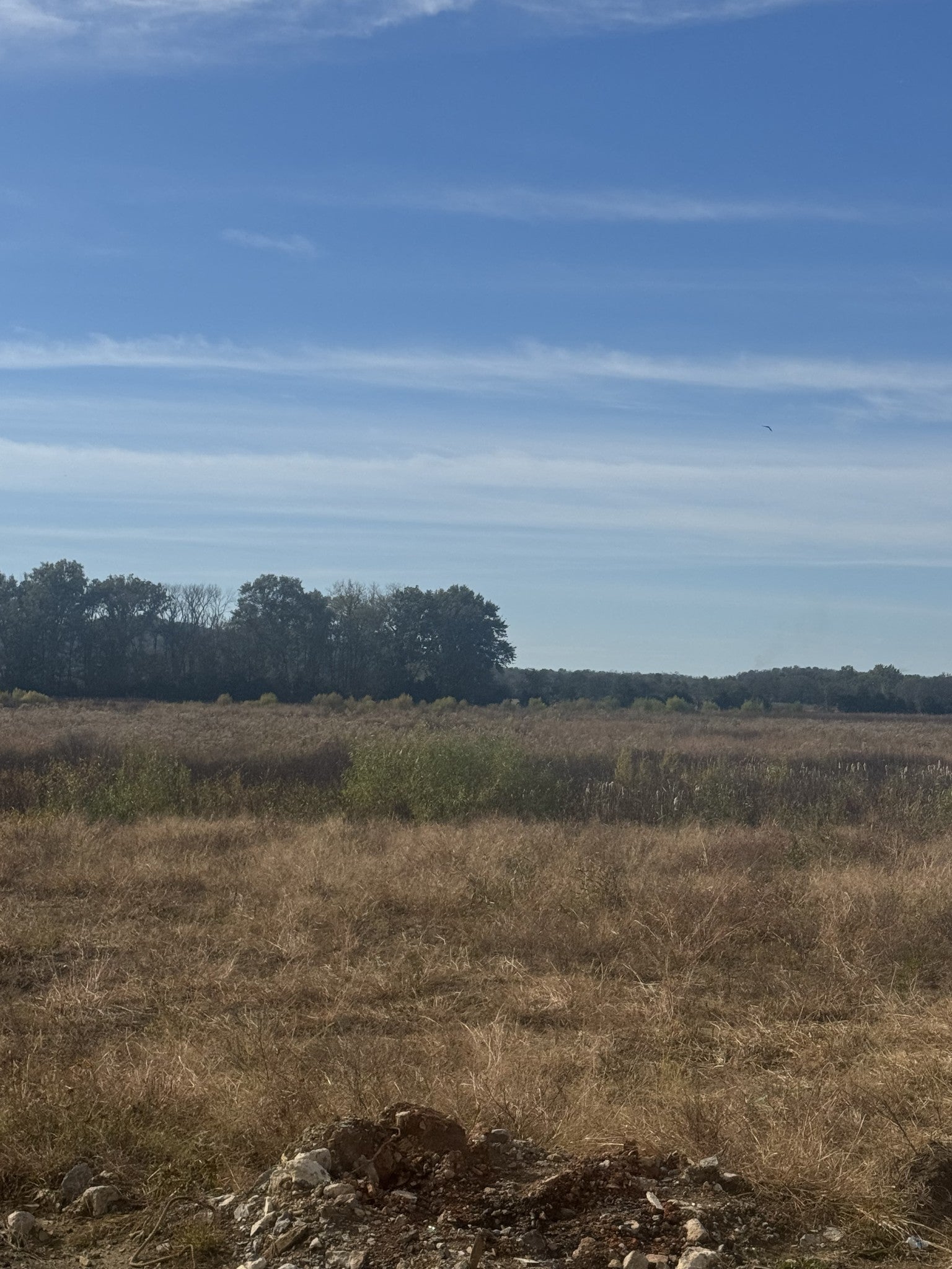 Photo of Listing #3046416